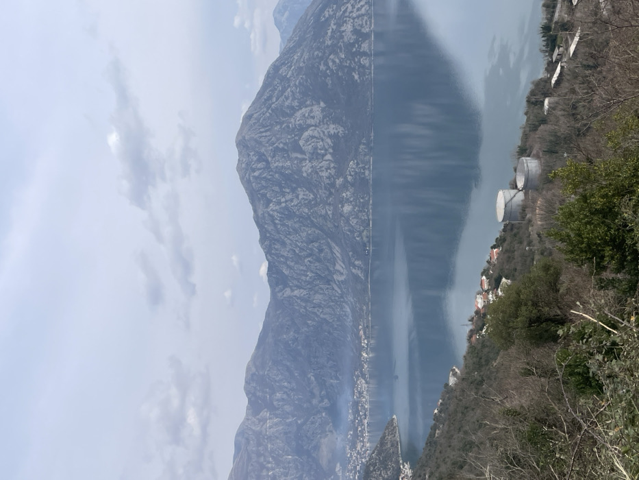 The image displays an elevated panoramic view across the Bay of Kotor from a vantage point near Morinj, Montenegro. The central feature is a large body of calm water reflecting the overcast sky and surrounding mountains. In the background, rugged grey mountains with visible rock formations rise steeply, dominating the horizon under a sky filled with light grey clouds.
On the distant left shoreline, a coastal settlement composed of multiple buildings, many with reddish roofs, is visible, from which a faint plume of smoke or mist ascends. The foreground shows a sloped hillside covered in sparse, bare deciduous trees and some evergreen shrubs. Two large, grey, cylindrical industrial storage tanks are prominently situated on the lower right slope, with a third smaller tank partially visible behind them. Additional low-lying structures are located nearer the water's edge on the far right. No individuals, explicit actions, or interactions are present in the scene.