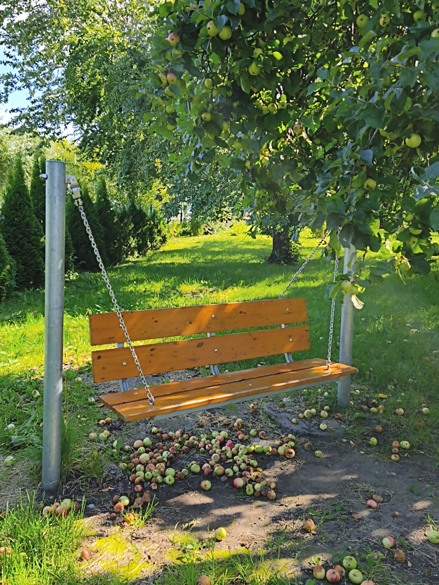 A wooden bench swing hangs from chains attached to metal posts, situated in a park-like setting. The swing is empty and appears to be under an apple tree, with numerous fallen apples scattered on the ground around it. The ground is a mixture of dirt and grass, with some green vegetation. In the background, there are more trees, bushes, and a patch of sunlight on the grass. The lighting suggests it is daytime, with sunlight filtering through the leaves of the trees. There are no people visible in the image. The scene is located in Tallinn, Estonia.