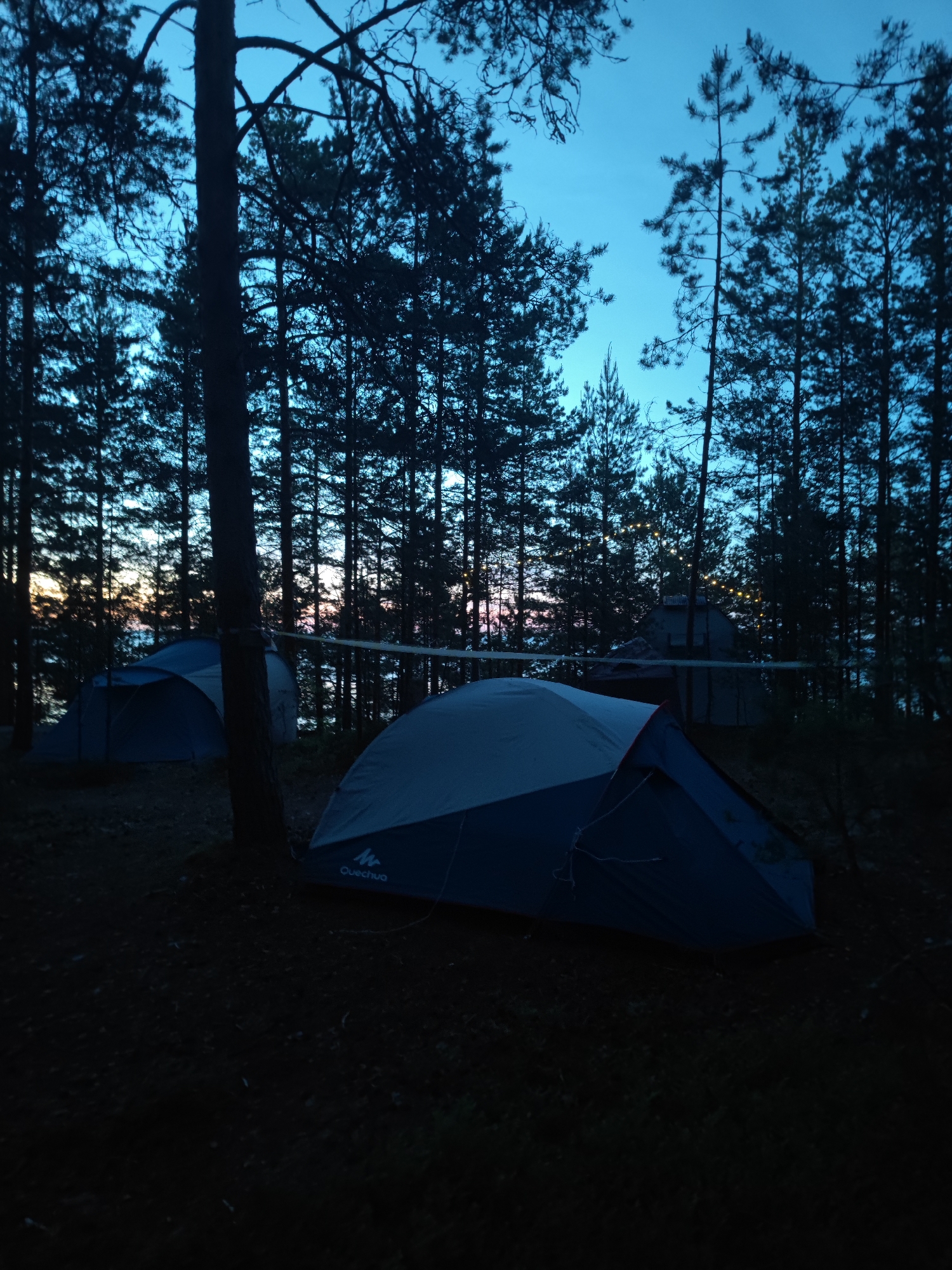 The image depicts a campsite in Motornoe, Russia, at dusk. The sky is a deep blue, transitioning to lighter hues near the horizon with hints of pink and orange. Silhouetted pine trees dominate the background, creating a dense forest setting. In the foreground, two blue and grey tents are set up on the ground, which is covered in dark soil and sparse vegetation. A thin white rope or line is strung between two trees in the middle ground, possibly a clothesline or part of a volleyball net. Small, warm-toned lights are strung between trees further back in the scene, adding a festive touch. The overall impression is one of a tranquil, natural setting during twilight.