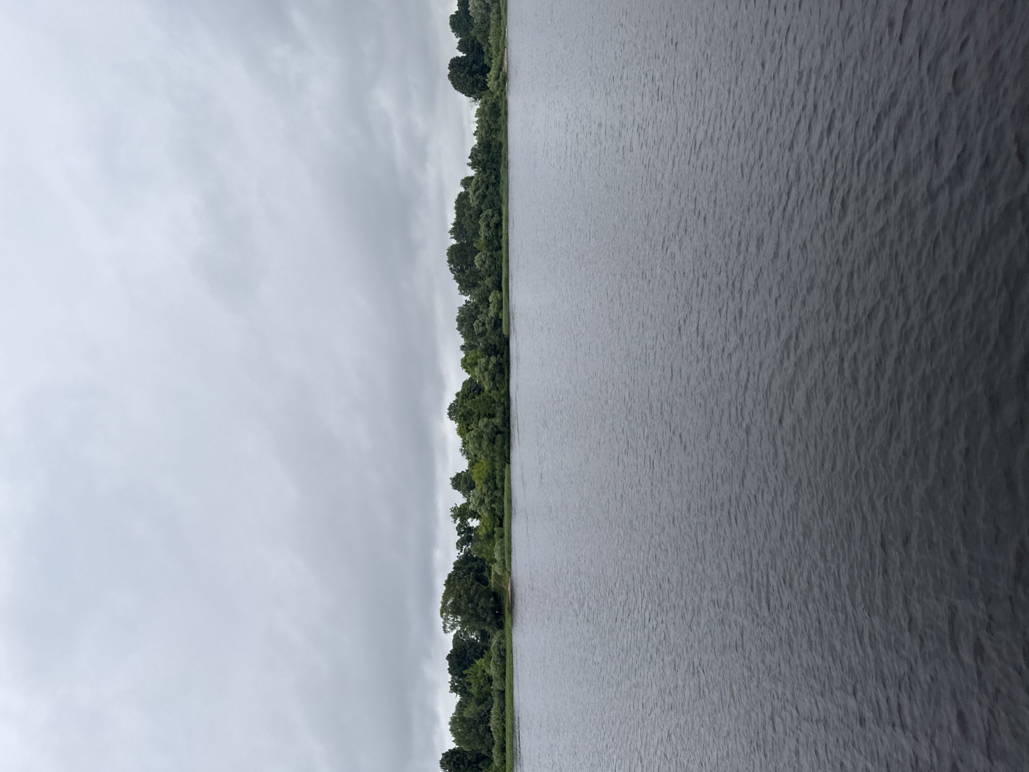 The image depicts a wide, calm body of dark water, likely a river or lake, under a heavily overcast sky. A dense line of lush green trees forms a natural border across the horizon, with some lighter green reeds or grasses visible at the water's edge. The water exhibits subtle ripples, suggesting a gentle current or breeze. The sky is filled with uniform, gray clouds, indicating a dull or rainy day. There are no people or man-made structures visible in the scene. The location is described as Шебунино, Russia, which implies this is a natural landscape within that region.