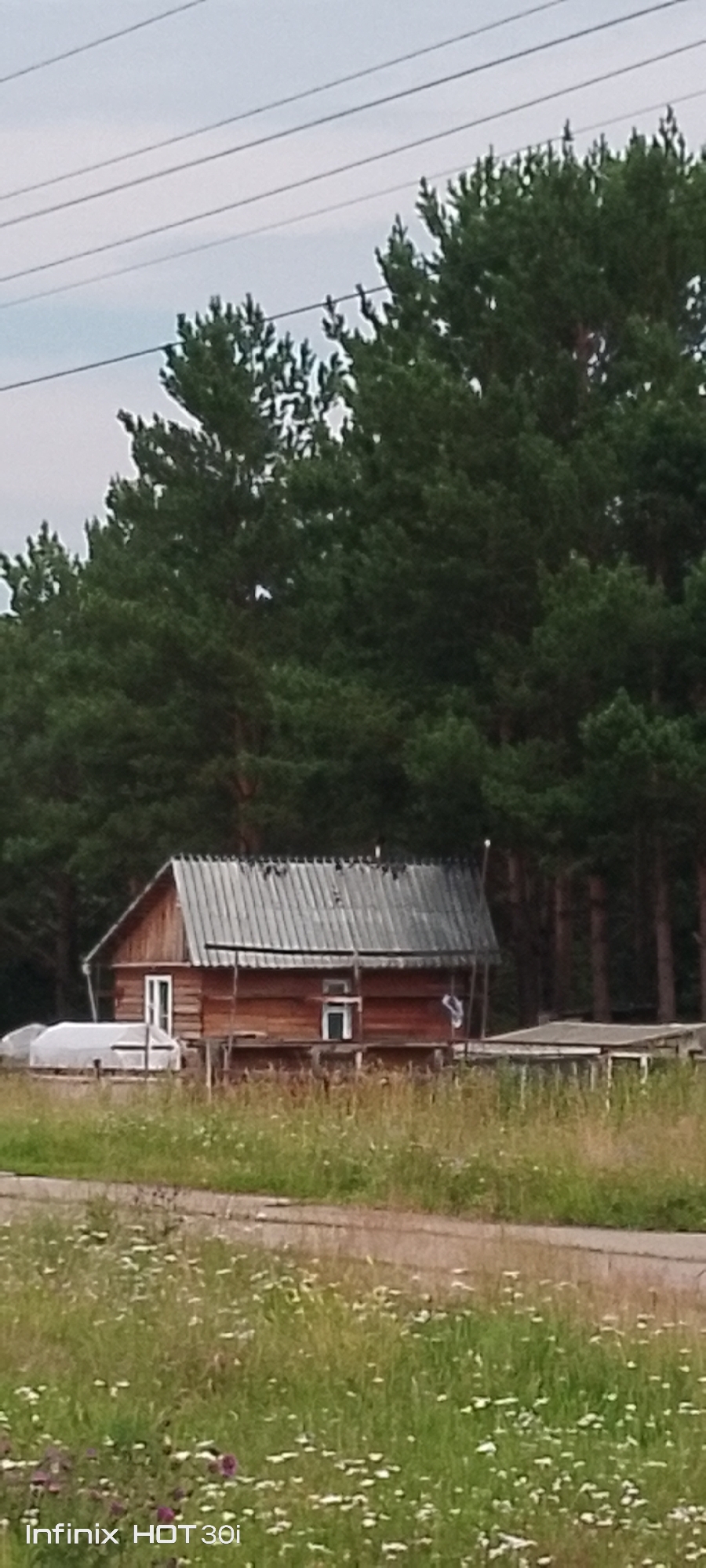 In Kedrovy, Russia, a small wooden house with a metal roof stands amidst a field of tall grass and wildflowers. A greenhouse-like structure is visible to the left of the house, and a fence runs along the right side of the property. Tall pine trees form a dense backdrop behind the house. The sky is overcast, and power lines are visible in the upper portion of the image. The scene appears to be rural and undeveloped, consistent with the outskirts of a town like Kedrovy. There are no people or animals visible in the image. The overall impression is one of a quiet, somewhat isolated setting.