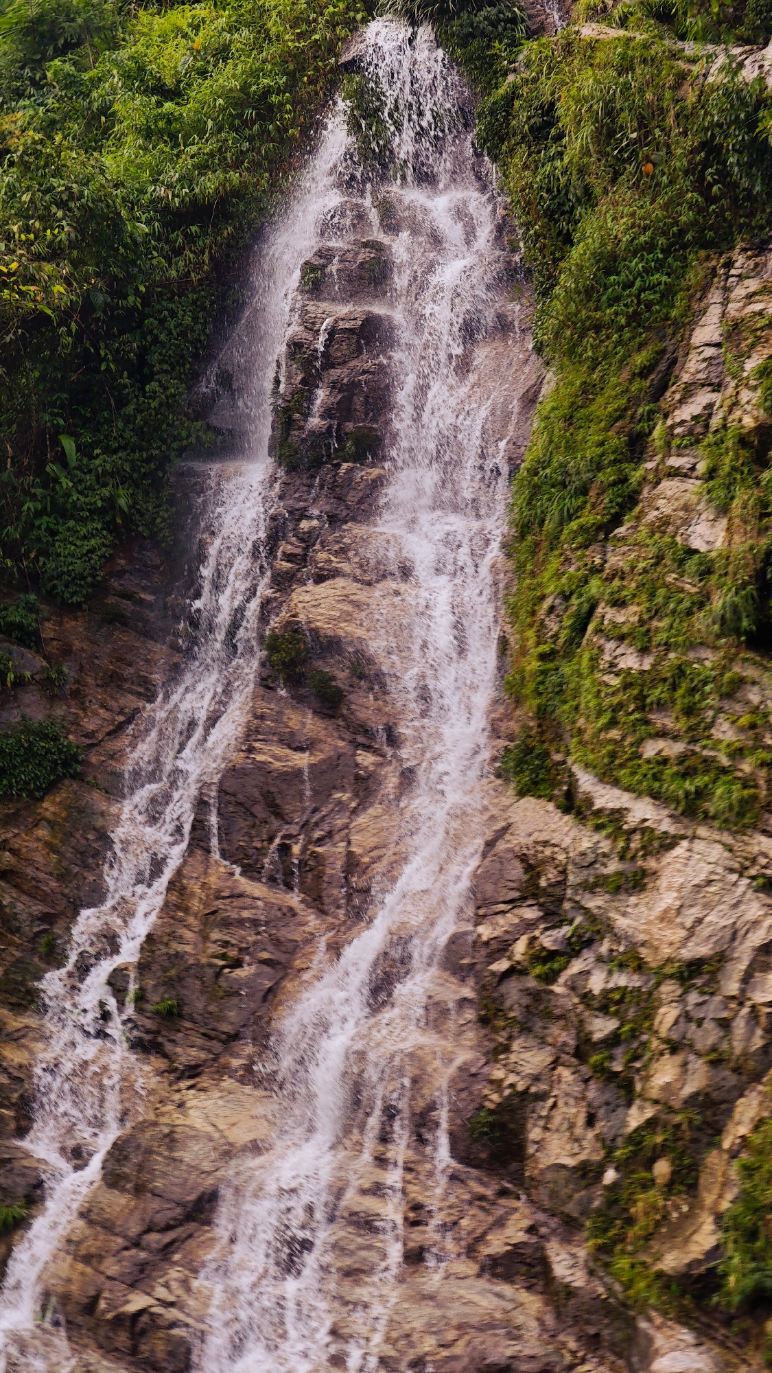 A vertical, close-up photograph captures a dynamic waterfall cascading down a verdant, rocky cliff face in Tân Quang Commune, Vietnam. The primary subject is the powerful flow of water, which appears white and foamy as it tumbles over the rugged terrain, breaking into multiple streams and rivulets.
The waterfall descends over a steep rock formation composed of textured brown and grey rocks, showing natural erosion and wet surfaces. Lush green vegetation, including leafy shrubs and grasses, densely covers the upper and side sections of the cliff, contrasting vividly with the earthy tones of the rocks and the bright white of the water. The abundant foliage suggests a healthy, well-watered environment.
The scene depicts the continuous activity of water flowing downwards, conveying a sense of natural energy and movement. The lighting indicates it is daytime, with soft illumination suggesting either an overcast sky or diffused light through the surrounding foliage, as there are no distinct shadows. The overall impression is one of pristine natural beauty and the raw power of the landscape. No people, man-made objects, or visible text are present in the image.