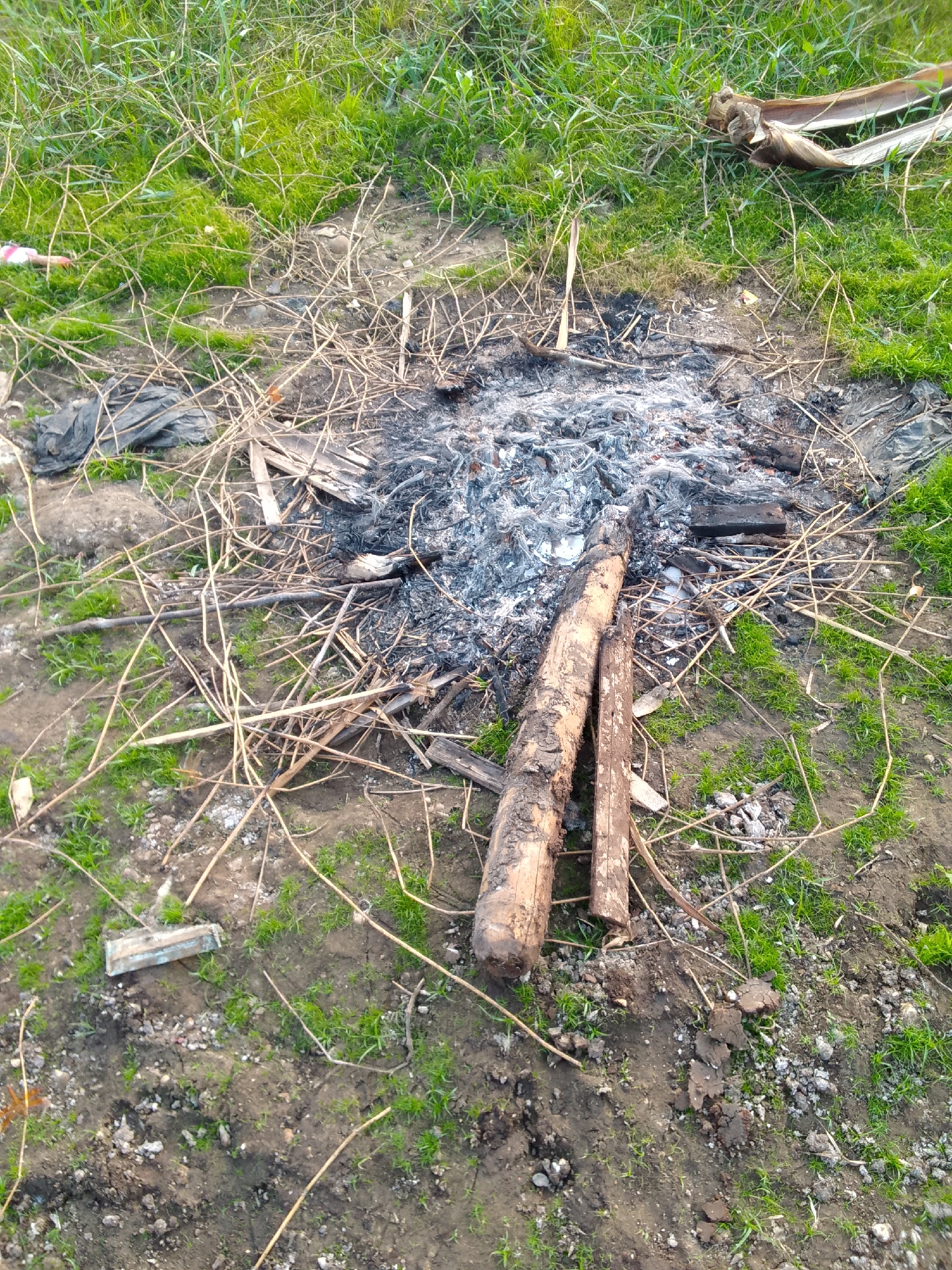 In Ciburuy, Indonesia, a scene depicts the aftermath of a bonfire. Ashes and burnt debris are scattered across a patch of bare earth and sparse green grass. Several dry twigs and branches surround the fire pit, with two thick logs placed prominently in the foreground. To the left, a crumpled black plastic bag lies amongst the debris, and further left, a small piece of white and pink material is visible. The environment appears to be an outdoor area, possibly a campsite or a backyard, with the general landscape suggesting a rural or semi-rural setting.