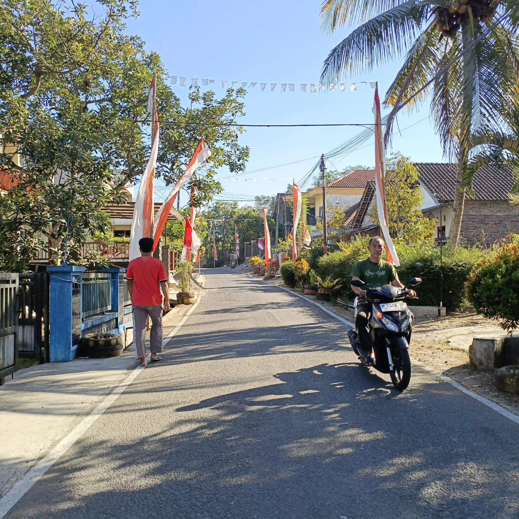 In Salatiga, Indonesia, a residential street is adorned with Indonesian flags and small white flags strung across the road. A man in a red shirt and gray pants walks away from the camera on the left side of the street, his back to the viewer. On the right side of the street, a man wearing a green t-shirt rides a black motorcycle towards the viewer. The road is asphalt, with a white line marking the edge on the right. Trees with green foliage line the street, casting dappled shadows on the road. Houses with red-tiled roofs are visible in the background. The sky is clear and blue, indicating a sunny day.