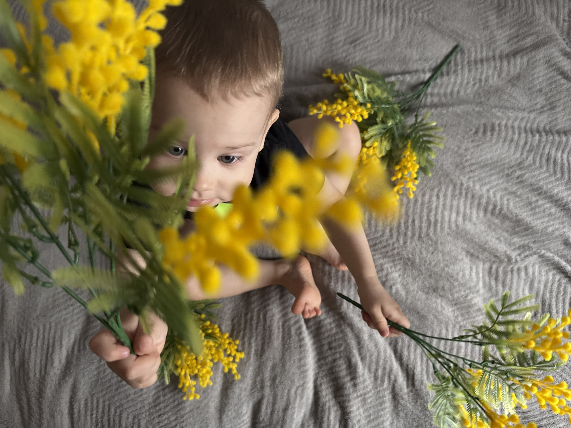 A young child sits cross-legged on a gray blanket. The child has light brown hair and is wearing a dark-colored shirt. The child is surrounded by several bunches of yellow mimosa flowers, holding one bunch in each hand. The background is a simple, textured gray blanket. The location is presumed to be Rusanovo, Russia.