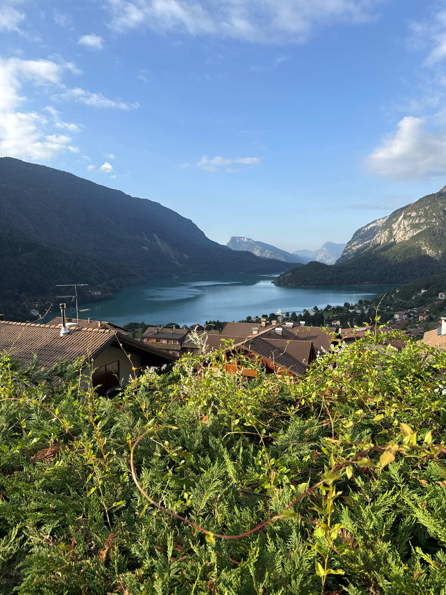 A high-angle, wide shot captures a serene natural landscape with a village nestled in the foreground and a lake in the background. The foreground is dominated by dense green foliage and the tiled roofs of houses. The village appears to be Molveno, Italy, with its characteristic architecture visible. Beyond the village, a vast, tranquil lake reflects the clear blue sky dotted with white clouds. Majestic, dark green mountains rise steeply on either side of the lake, their peaks partially obscured by the haze and distance. The overall impression is one of peaceful coexistence between nature and human settlement.