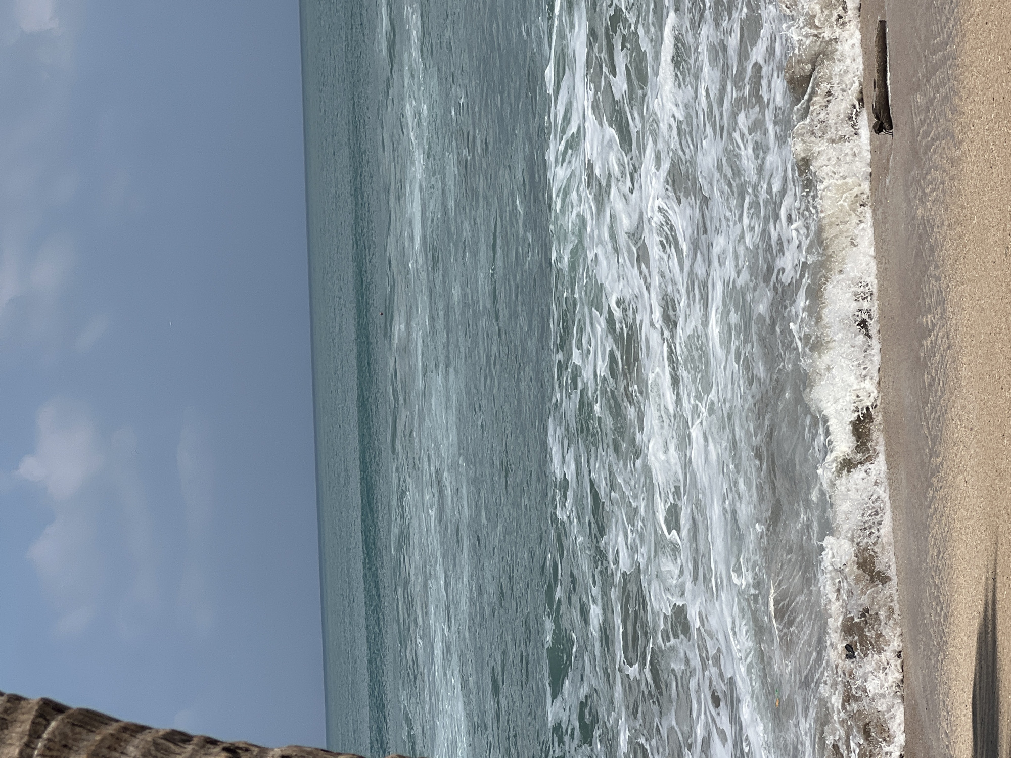 A palm tree trunk is visible on the far left of the frame, its rough texture taking up a small portion of the foreground. The remainder of the image is dominated by the ocean and the shore. The water is a muted turquoise, with small waves breaking onto the sandy beach, creating white foam. The horizon line is clear, separating the sea from a pale blue sky with scattered clouds. A piece of driftwood lies on the sand in the lower right corner. There are no people visible in the scene. The environment appears to be a tropical beach, consistent with Kuta, Indonesia, known for its coastline and palm trees.