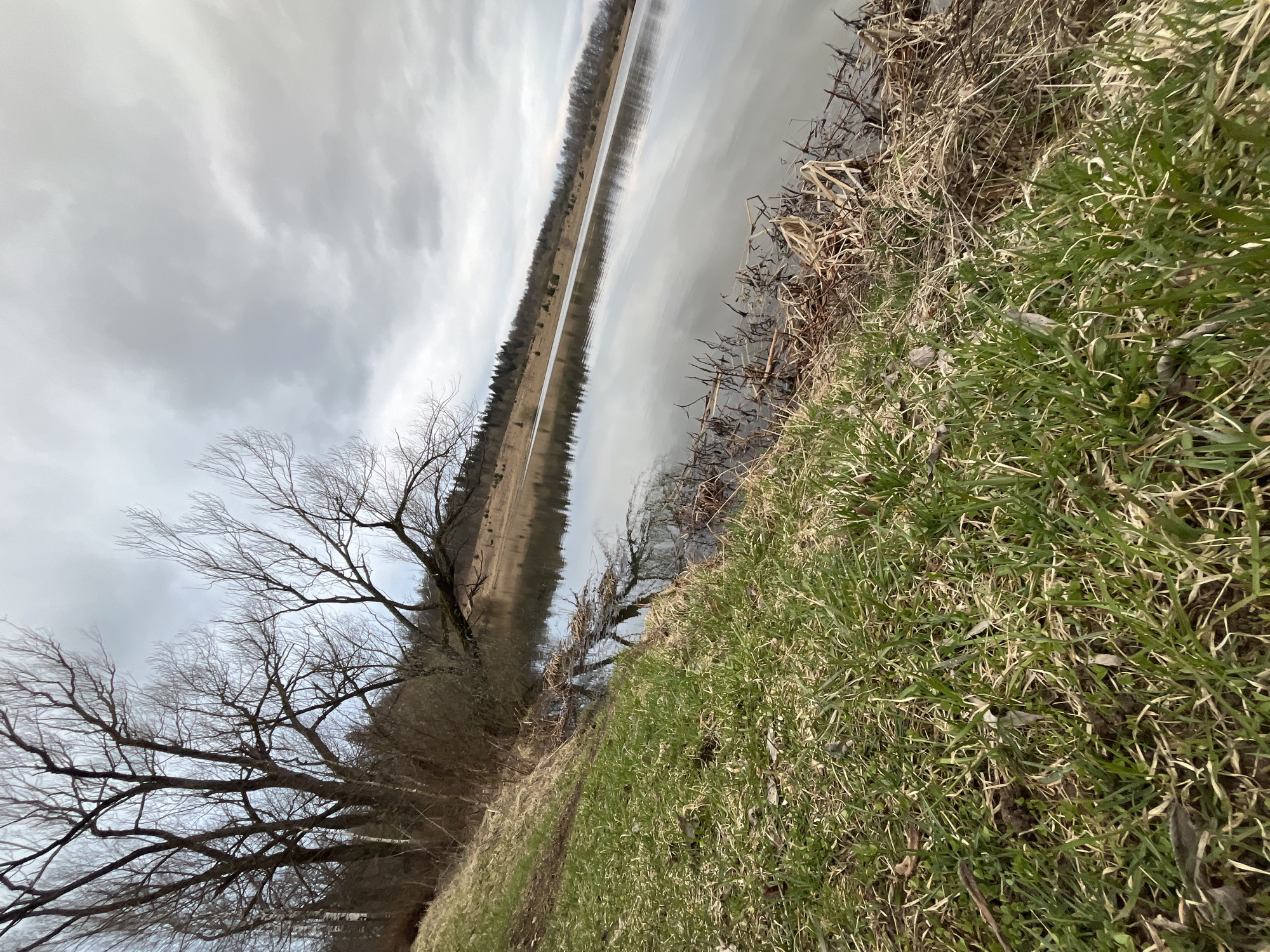 The image shows a landscape with a river or lake reflecting a cloudy sky. On the left side of the water, there are bare trees and vegetation along the bank. On the right side, there's grassy vegetation leading to the water's edge. The image is tilted, giving a slightly disorienting perspective. The details of the location within Opritovo, Russia are not discernible from this image.