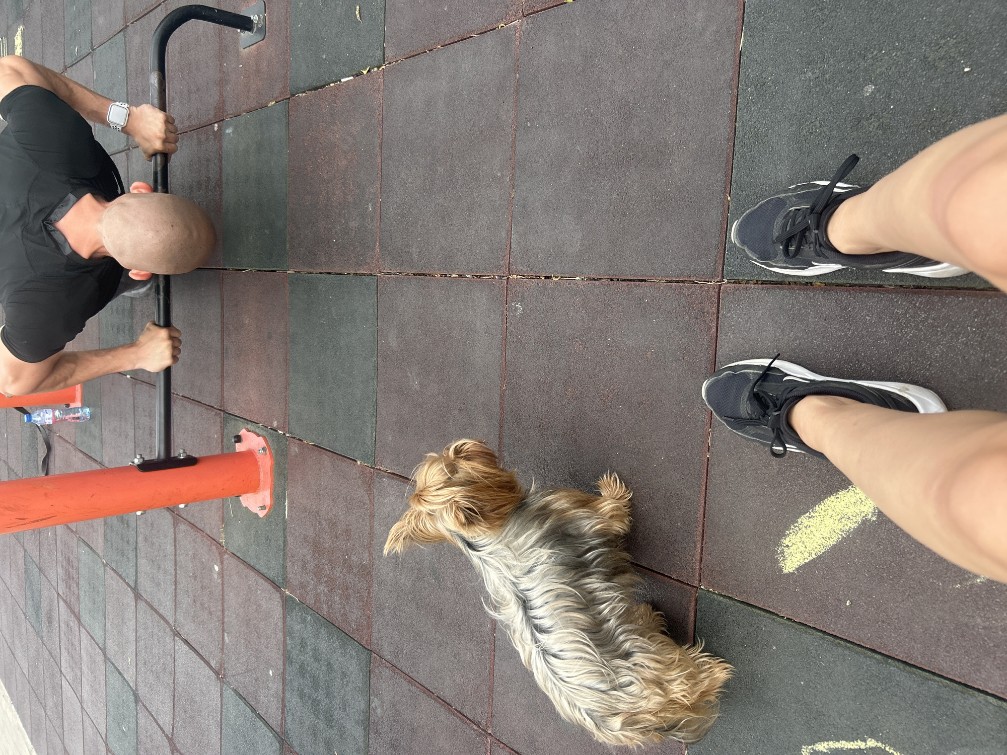 A top-down shot depicts a man performing dips on parallel bars in an outdoor exercise area, with a small dog lying on the ground nearby and a person standing by. The man is bald, wearing a black t-shirt and a watch on his left wrist, with his head positioned between the parallel bars. The dog, resembling a Yorkshire Terrier with long, light brown and grey fur, is lying down, facing away from the man. A pair of legs with sports shoes are visible to the right of the dog. A water bottle is lying on the ground. The surface consists of dark brown and grey rubber tiles with some chalk. The location is Burgas, Bulgaria.