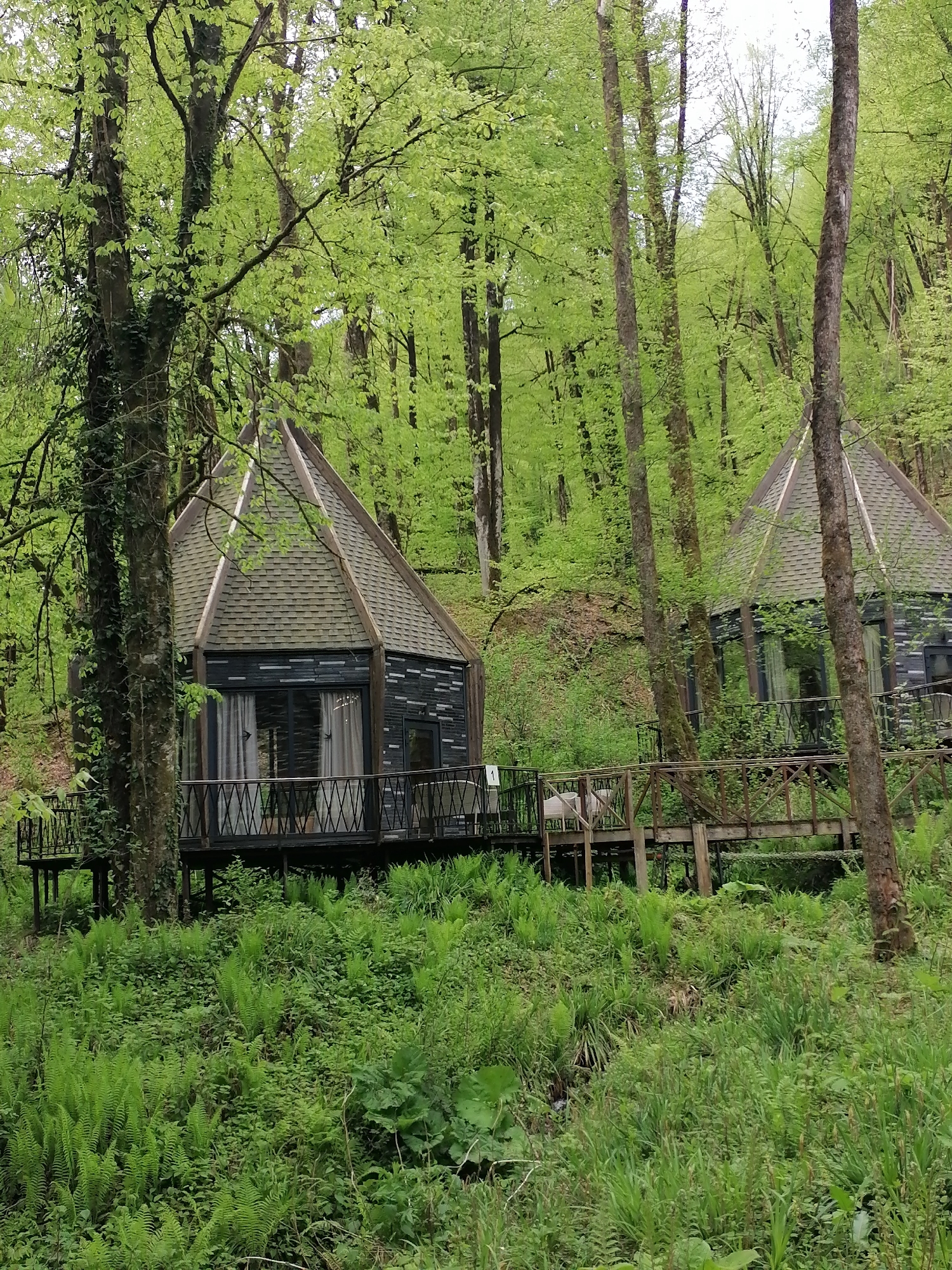 This immersive image captures a serene natural setting in Medoveevka, Russia, featuring two unique, modern cabins nestled within a vibrant green forest. The scene is dominated by tall trees with abundant, light green foliage, indicating springtime or early summer. The soft, diffused light suggests an overcast day, contributing to the tranquil atmosphere.
The primary subjects are two multi-sided cabins, elevated on dark stilts, with dark grey paneling and shingled, conical roofs. Each cabin features large glass windows and doors, revealing light-colored curtains within, hinting at comfortable accommodations. The cabins are surrounded by expansive wooden decks with elegant dark metal railings, showcasing a criss-cross pattern. A wooden bridge connects the foreground cabin's deck to another structure or leads further into the dense woods, with a white chair visible on the deck of the cabin on the right.
The forest floor below the cabins is carpeted with lush, verdant undergrowth, particularly abundant ferns, creating a rich texture. No people are visible, emphasizing the secluded and peaceful nature of the location. The overall impression is one of a harmonious retreat designed for immersion in nature.
A notable detail is a small white sign with the black number "1" affixed to the deck railing of the cabin on the left, likely serving as a cabin identifier. The environment evokes feelings of calm, freshness, and a deep connection to the natural world.