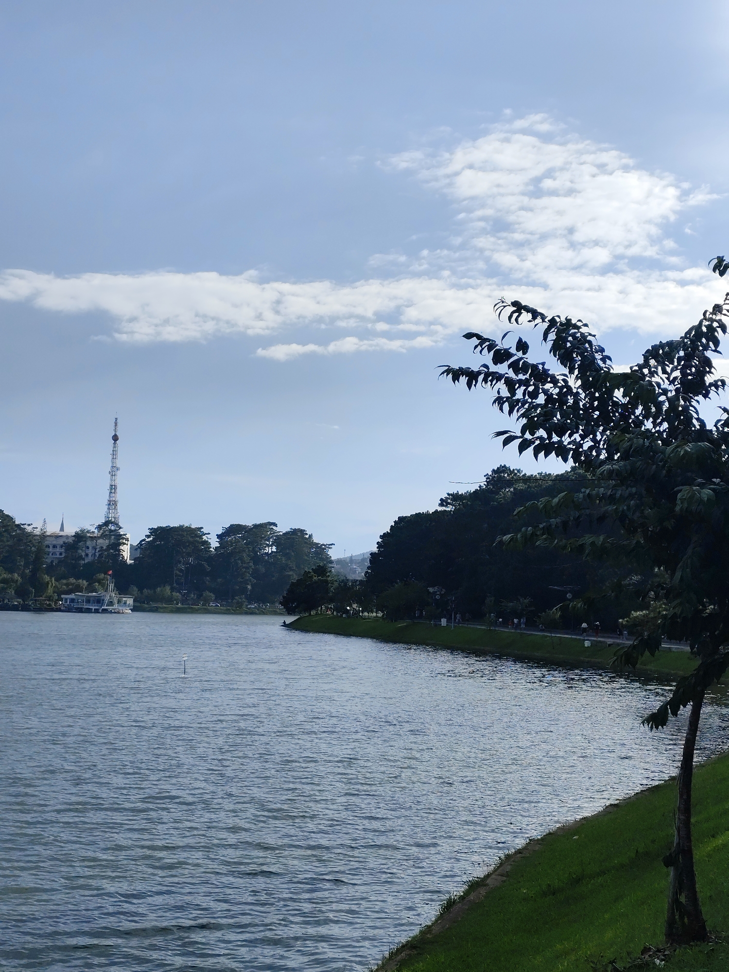 The image shows a serene lake scene with lush greenery and a clear sky. In the background, a tall radio tower stands prominently against the skyline, accompanied by a cluster of buildings and dense trees. The foreground is dominated by the tranquil waters of the lake, with subtle ripples suggesting a gentle breeze. A well-maintained grassy embankment lines the edge of the lake, where a few individuals can be seen strolling or sitting, enjoying the peaceful atmosphere. A lone tree with dark foliage stands on the right side of the frame, its branches extending towards the sky. This vista is characteristic of Xuân Hương Lake in Đà Lạt, Vietnam, a popular tourist destination known for its natural beauty and recreational activities. The overall impression is one of a tranquil and picturesque urban landscape.