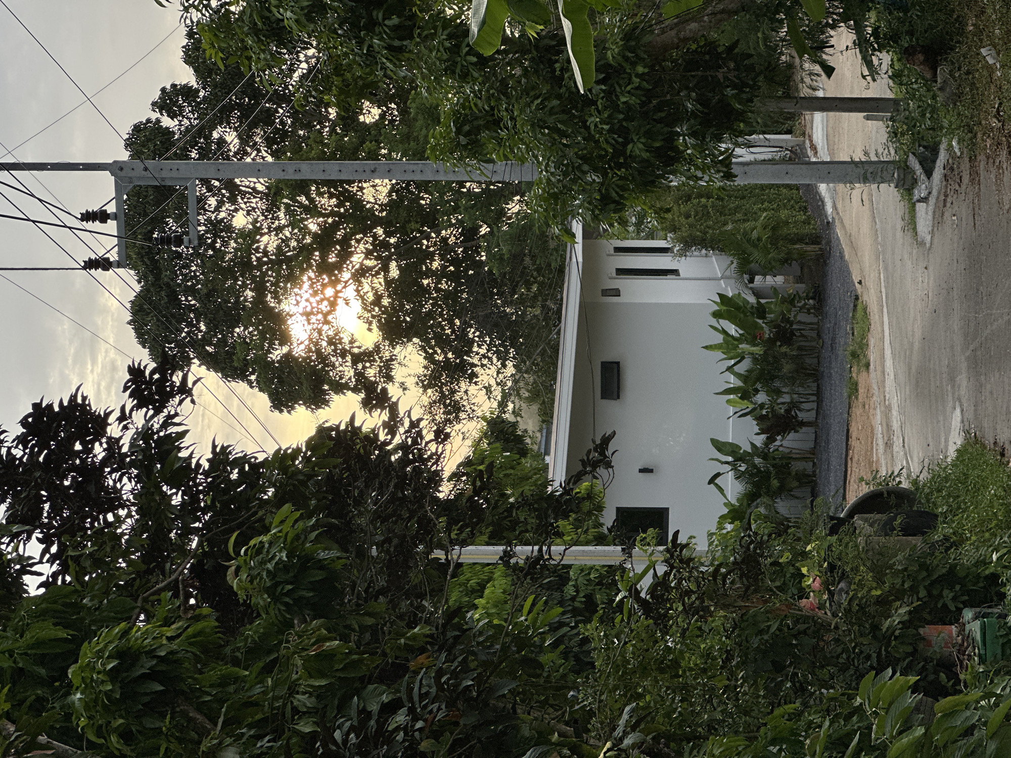 The image, correctly oriented, displays a vibrant, verdant scene in what appears to be a rural or semi-rural area, consistent with ตำบลเกาะพะงัน, Thailand. The time of day is either early morning or late afternoon, as suggested by the low sun shining brightly through the dense foliage on the left side of the frame, creating a warm, dappled light and silhouetting tree branches. The sky is bright with some atmospheric haze or light clouds.
In the midground, a modern, single-story white building with a minimalist design and dark-framed windows or vents is nestled among abundant greenery. Various tropical trees and bushes, featuring different shades of green and leaf shapes, dominate the foreground and surround the building.
Two prominent concrete utility poles with multiple power lines span across the frame, dividing the natural elements. To the right of the building, a light-colored, unpaved or gravel road curves gently, leading deeper into the scene and bordered by more vegetation. The scene evokes a sense of tranquil tropical living. No people or visible text are present in the image.
