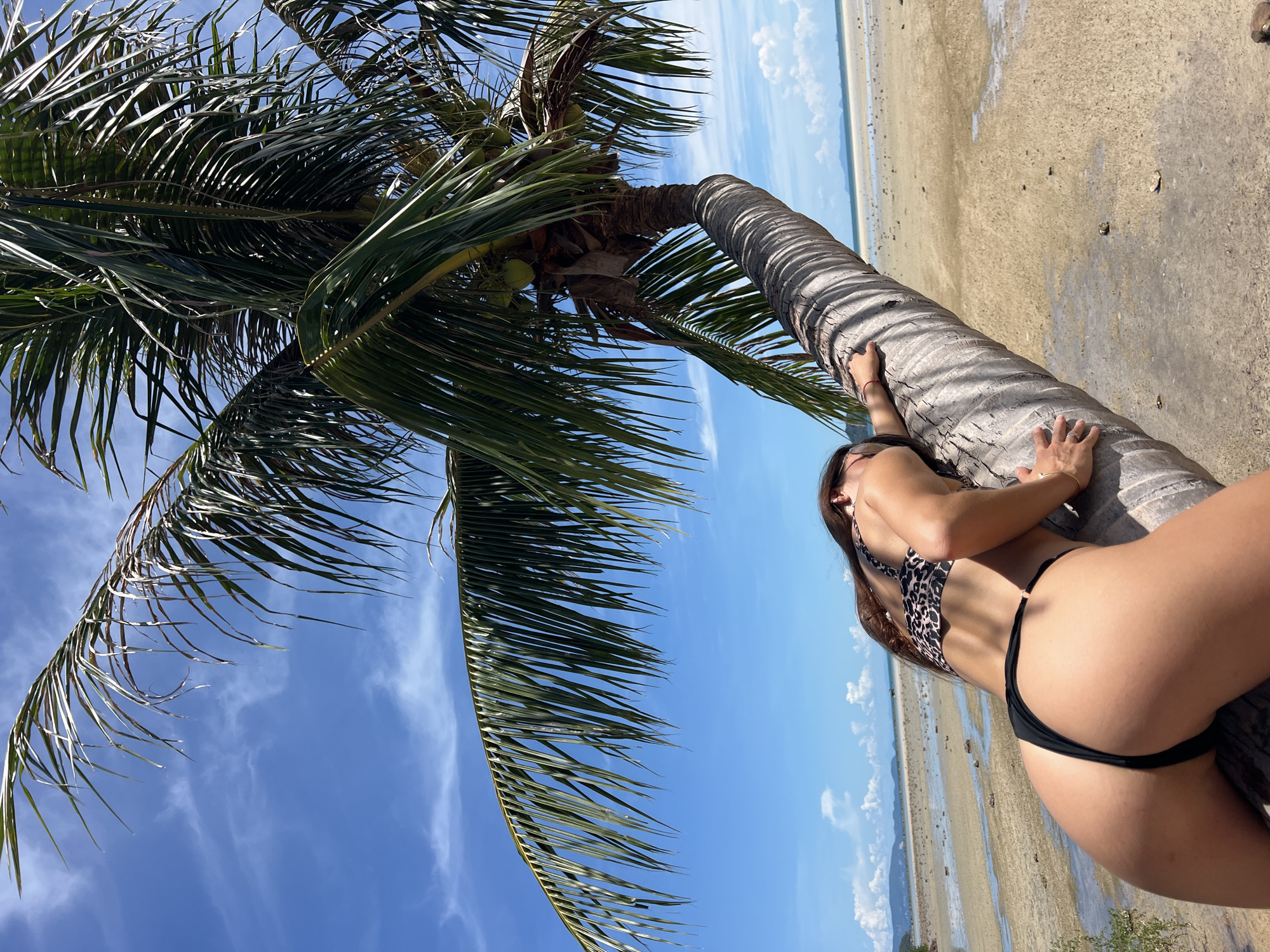 A woman in a leopard-print bikini is leaning over a palm tree on a sandy beach in Koh Phangan, Thailand. The sky is blue with scattered clouds. The woman's back is to the camera, and she is looking down towards the sand. The palm tree is leaning to the right, and its fronds are spread out against the sky. The beach is wide and sandy, with some rocks and vegetation visible. In the distance, there are islands and the ocean. The scene is a bright, sunny day.
