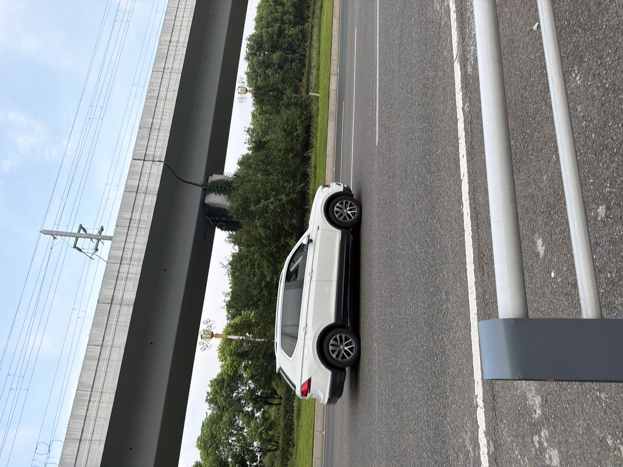 A white Volkswagen Tiguan SUV drives on a multi-lane asphalt road under an elevated concrete overpass, likely part of a highway or light rail system, in Jiangjin, China. The overpass is supported by concrete pillars, one of which is partially covered by green ivy. Overhead power lines for the transportation system are visible. Lush green trees and vegetation line the side of the road, with a grassy embankment beyond. The sky is overcast. A decorative street lamp with multiple bulbs is positioned behind the trees. In the foreground, a grey metal barrier with horizontal tubes separates the roadway from another area. The car is moving from left to right in the frame.