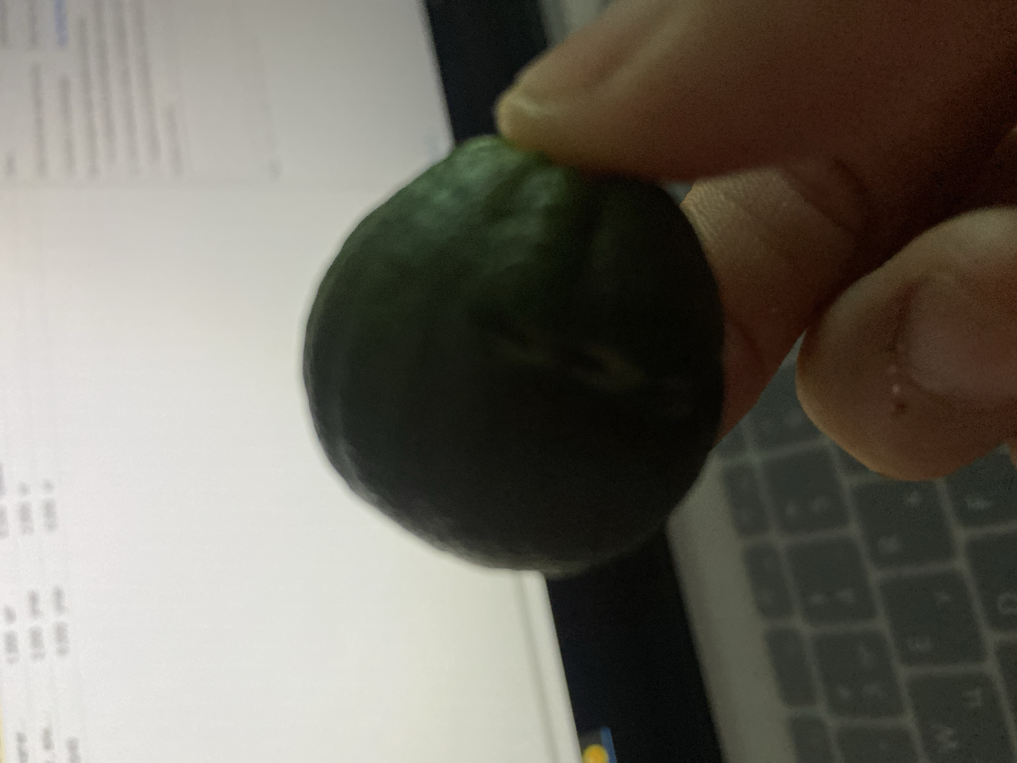 A hand is holding a dark green, spherical object that appears to be a small fruit or vegetable. The object is positioned in the foreground and is partially obscuring a laptop keyboard. The background shows a blurry computer screen with text and graphics, suggesting the scene is indoors, likely at a desk. The lighting is dim, and the focus is primarily on the object and the hand holding it. The environment is consistent with a home office or a workspace.