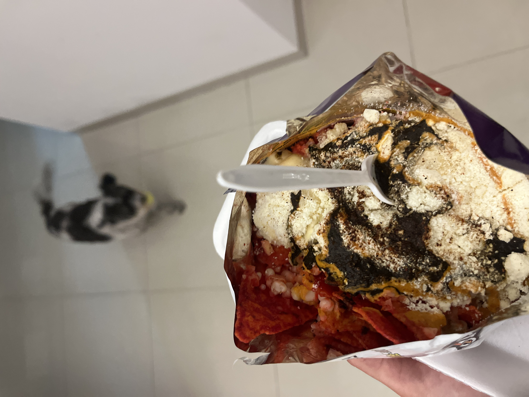The image shows a partially consumed bag of Doritos Locos Tacos flavored tortilla chips that has been augmented with a mixture of finely grated cheese and dark, viscous sauce. A disposable plastic spoon is inserted into the contents of the bag. The location is suggested as Barrio de Nuevo León, Mexico, but the details of the photograph do not confirm this.