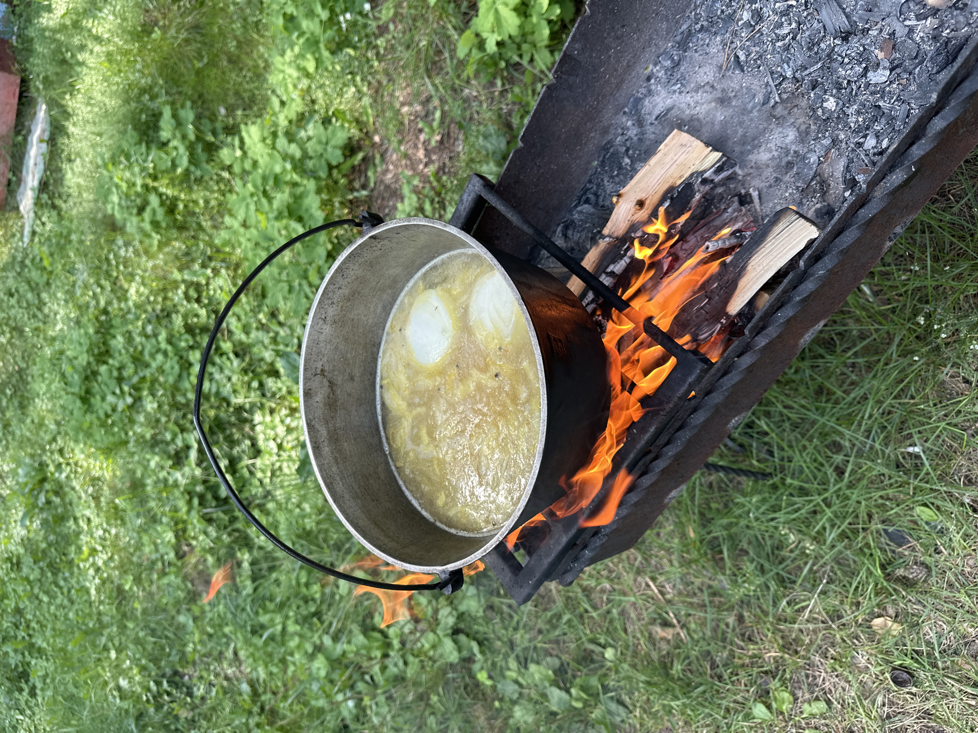A black metal cauldron filled with a light-colored stew containing two white onion slices is suspended over an open fire in a rustic metal grill. The grill is filled with burning wood and embers, producing orange flames that lick at the bottom of the cauldron. The scene is set outdoors on a patch of green grass, with some fallen leaves visible on the ground. The background is a blur of more green foliage, suggesting a natural or semi-rural setting. There are no people visible in the image. The location is identified as Sadovka, Russia.