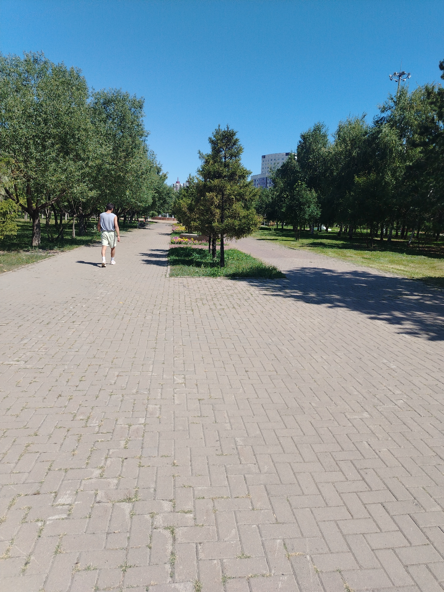 A lone individual, viewed from behind, walks along a paved pathway in a park on a clear, sunny day. The person, wearing a grey tank top and light-colored shorts with white socks and shoes, is walking away from the camera towards a row of trees on the left and a curved pathway lined with flowers on the right. The pathway is constructed of rectangular grey pavers arranged in a herringbone pattern, with sparse green grass growing in the gaps between them. Tall, leafy green trees line both sides of the pathway, casting shadows onto the pavement. In the background, several multi-story buildings, including a light-colored apartment complex, are visible through the trees, suggesting an urban setting. A lamppost with multiple lights is also visible in the distance. This scene is consistent with a park in Astana, Kazakhstan, given the architectural styles of the buildings and the typical park landscaping.