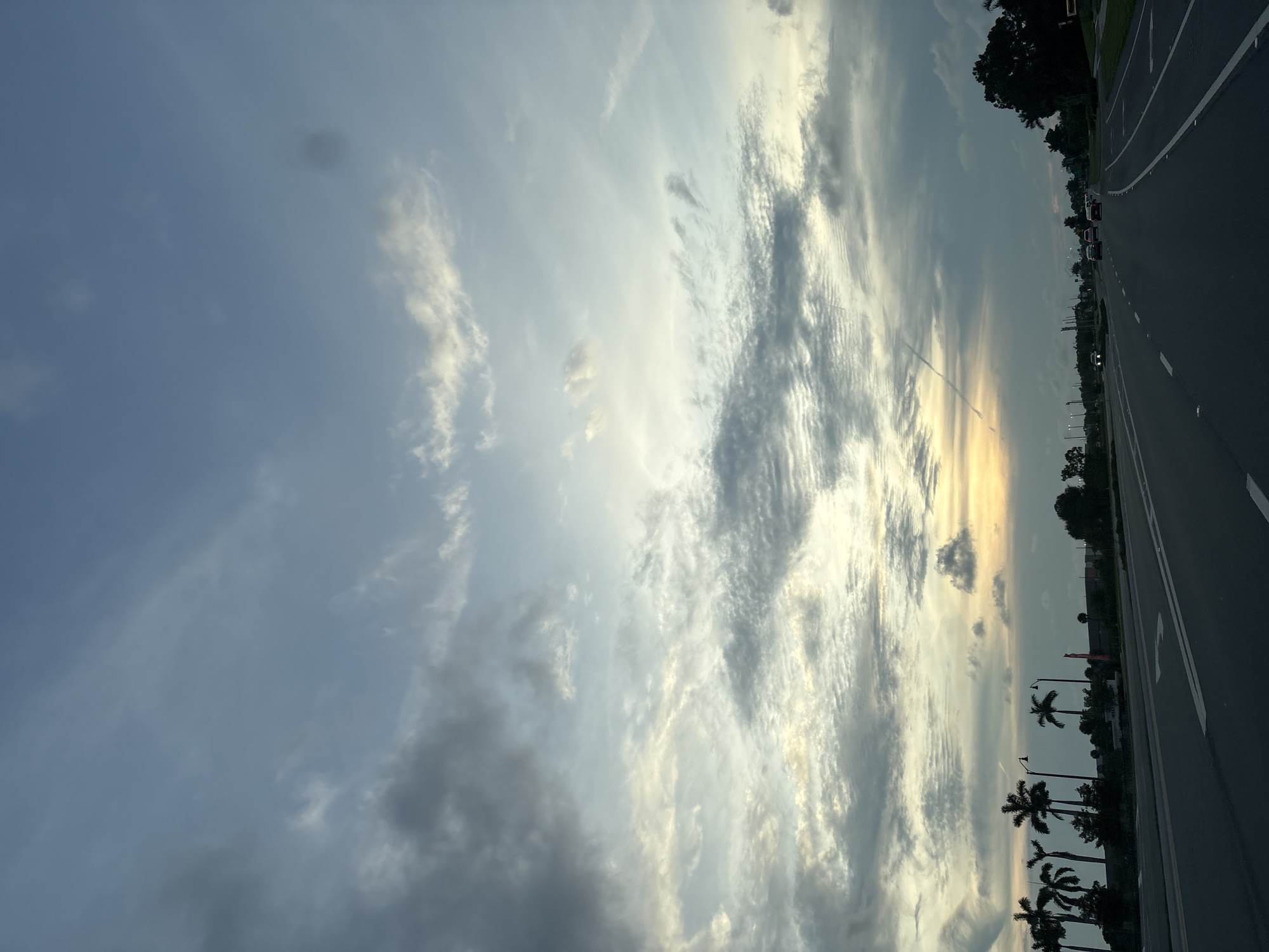 The image captures a view of a highway in North Port, Florida, USA, during what appears to be either sunrise or sunset. The sky is filled with a mix of clouds, with some areas of bright yellow and orange suggesting the sun's presence. Several palm trees line the left side of the road, silhouetted against the sky. The highway itself has multiple lanes and is marked with white lines. A few cars are visible on the road, traveling in the same direction as the viewpoint. The overall environment is that of a suburban or semi-rural roadside with vegetation and some distant structures.
