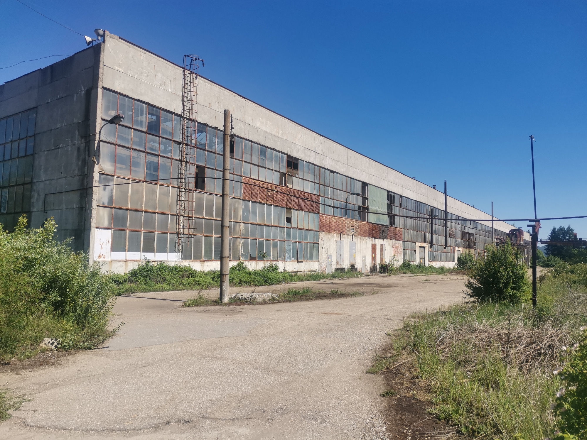 The image depicts an abandoned industrial building located in or near Verinsko, Bulgaria. The structure is a long, rectangular concrete building with a mostly glass facade featuring metal window frames. Many window panes are broken or missing. There's a metal ladder affixed to the side of the building. The building’s facade is weathered and stained. In front of the building is a concrete area with vegetation growing through cracks. Overgrown bushes and weeds surround the periphery of the concrete surface. There are utility poles standing near the building. The sky is clear and blue. No people are visible in the scene.