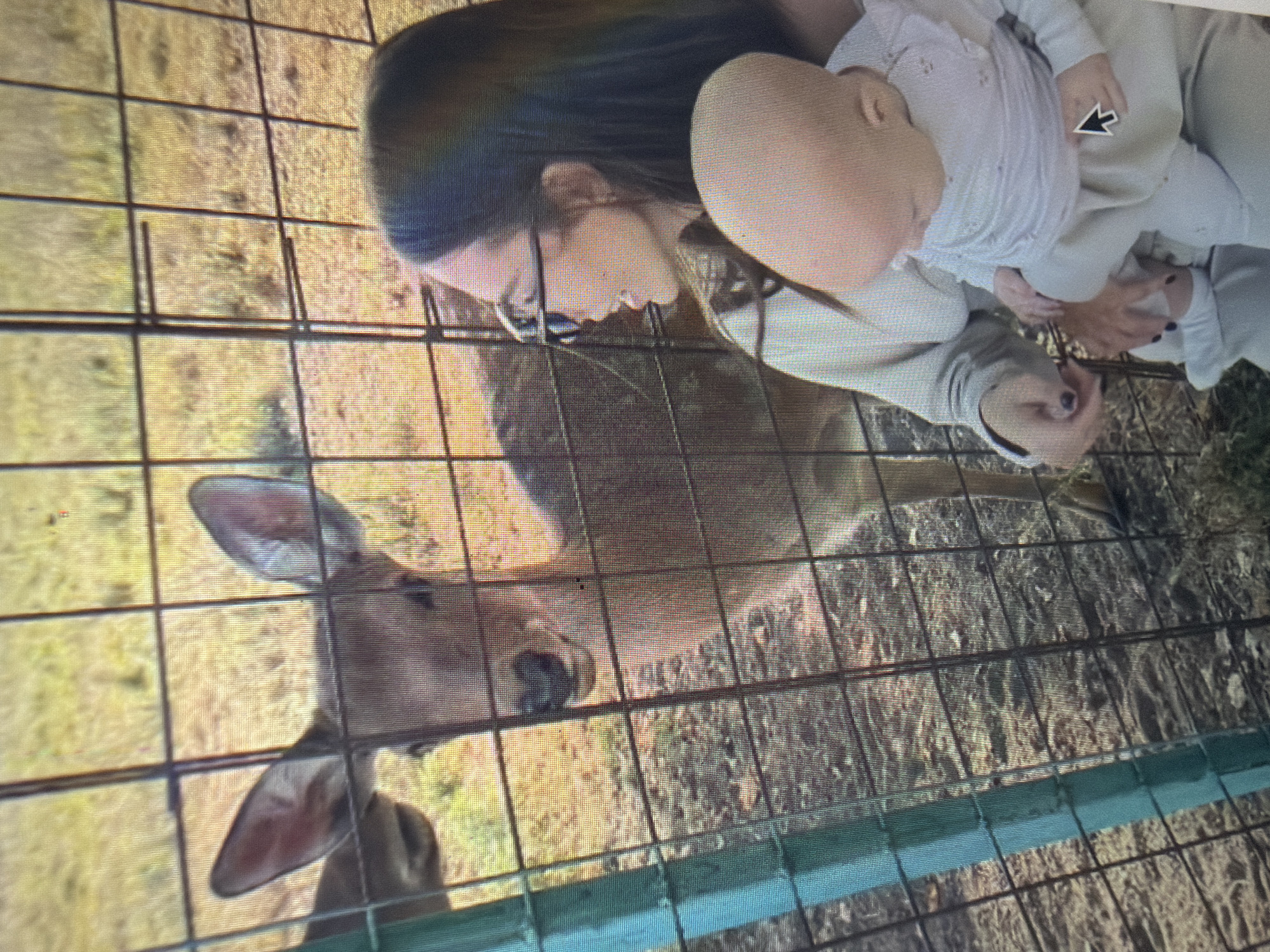 The image captures an outdoor scene in the city of Shumen, Bulgaria, featuring a female adult holding an infant while observing two deer through a wire mesh fence. On the right side of the fence, the adult female, characterized by long dark hair and eyeglasses, wears a light-colored long-sleeved top. Her left hand, adorned with dark nail polish, is positioned near the fence. She is looking towards the deer. Held by the adult, the infant, dressed in a light-colored long-sleeved top and pants, has a light-colored head with minimal hair and is looking downwards. A black computer mouse cursor is present over the infant's left hand. On the opposite side of the fence, a deer, displaying its head, neck, and partial body, stands facing the individuals. A second deer's ear and part of its head are partially visible behind the first deer on the far left. The separating barrier is a dark wire mesh fence with a square grid pattern, reinforced by a prominent teal-colored vertical post on the left. The environment on both sides of the fence consists of an expanse of dry, yellowish-green grass and visible soil. The overall visual texture suggests the image is a photograph of a digital display.
