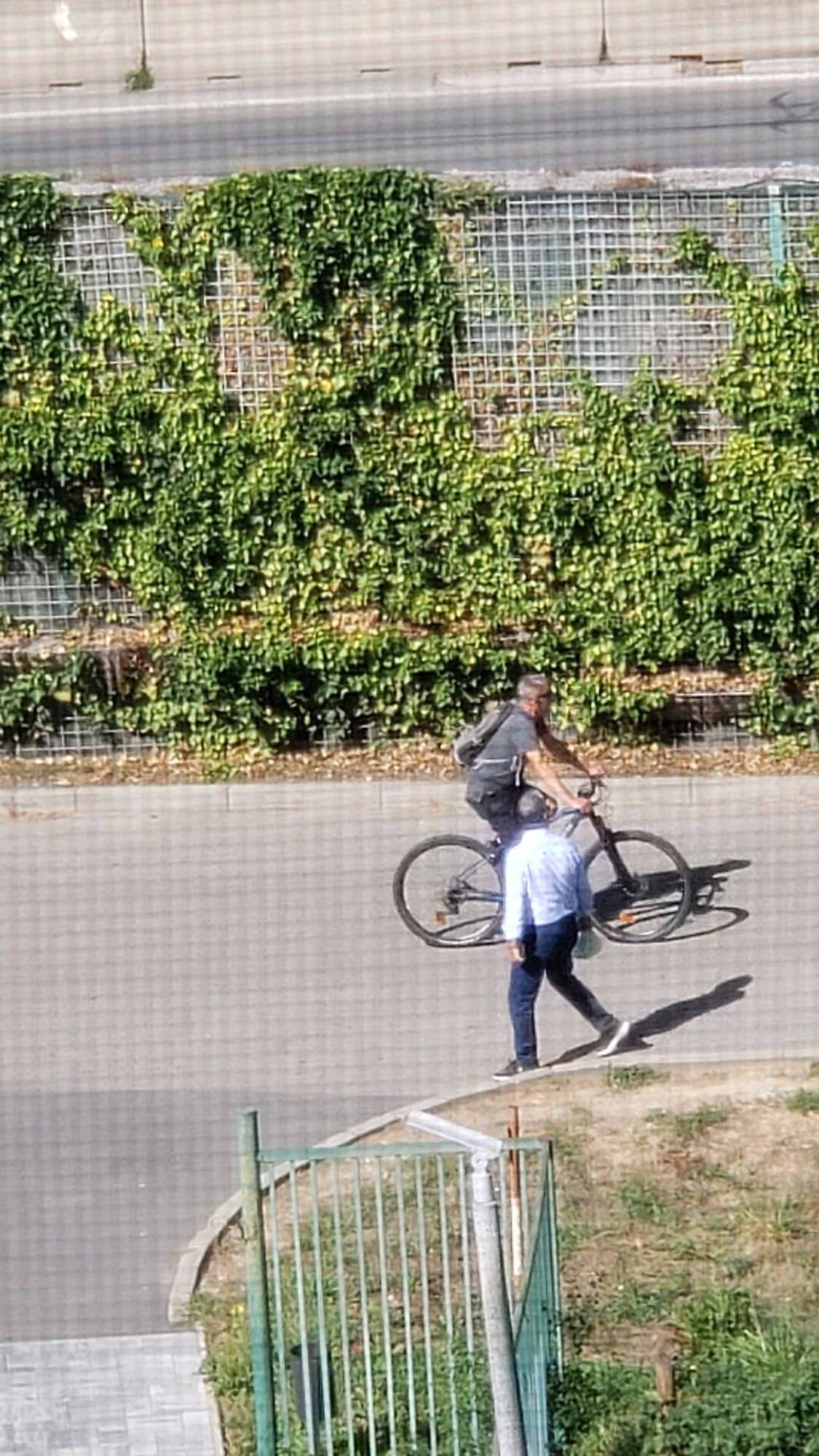 The image captures a sunny day scene on a paved walkway adjacent to a wall covered in lush green ivy. In the middle ground, a person is riding a bicycle on the walkway. They are wearing a dark-colored t-shirt, dark shorts, and a backpack. To the right of the cyclist, another person is walking, wearing a light blue collared shirt and dark pants. They are casting distinct shadows on the ground. In the background, a metal grate structure is visible behind the ivy-covered wall. The foreground features a section of a green metal fence and a textured paved area. The overall scene suggests an urban or suburban outdoor environment, possibly a park or a street with greenery, in Prešov, Slovakia.