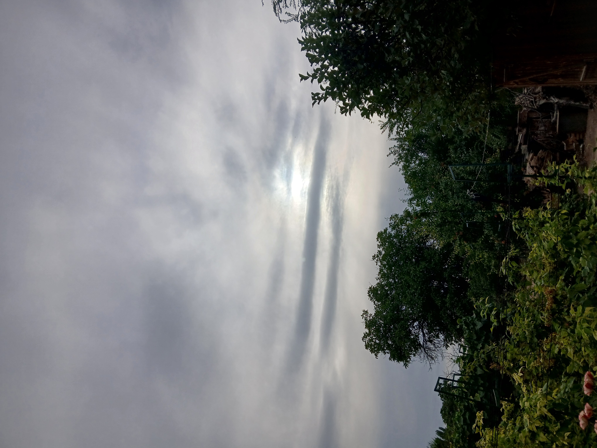 The image shows a cloudy sky over a dense green vegetation that appears to be a garden or a yard, with a wooden gate on the right side and some stacked wood. The sky is overcast with layered grey clouds, and a faint glow from the sun is visible through a break in the clouds. The vegetation consists of various types of plants, including trees and bushes, with some hints of flowers at the bottom left. The scene is likely a residential outdoor area in Коктал, Kazakhstan, characterized by natural elements and some man-made structures like the gate and support structures for the plants. There are no people or animals visible in the image.