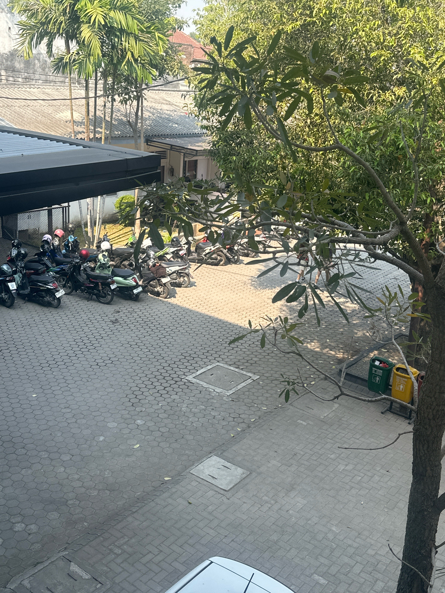In Mojokerto, Indonesia, a paved courtyard adjacent to a building is occupied by a row of parked motorcycles. The motorcycles are of various colors and models, some with helmets placed on their seats. The courtyard is covered with hexagonal paving stones, and a portion is also paved with rectangular bricks. A dark overhang extends from the building over part of the courtyard. Trees with green foliage are visible in the background and foreground, casting shadows on the ground. Two trash cans, one green and one yellow, are situated near the right edge of the image. In the distance, palm trees and parts of buildings are visible. The scene appears to be an outdoor parking area for motorcycles at a commercial or residential establishment.