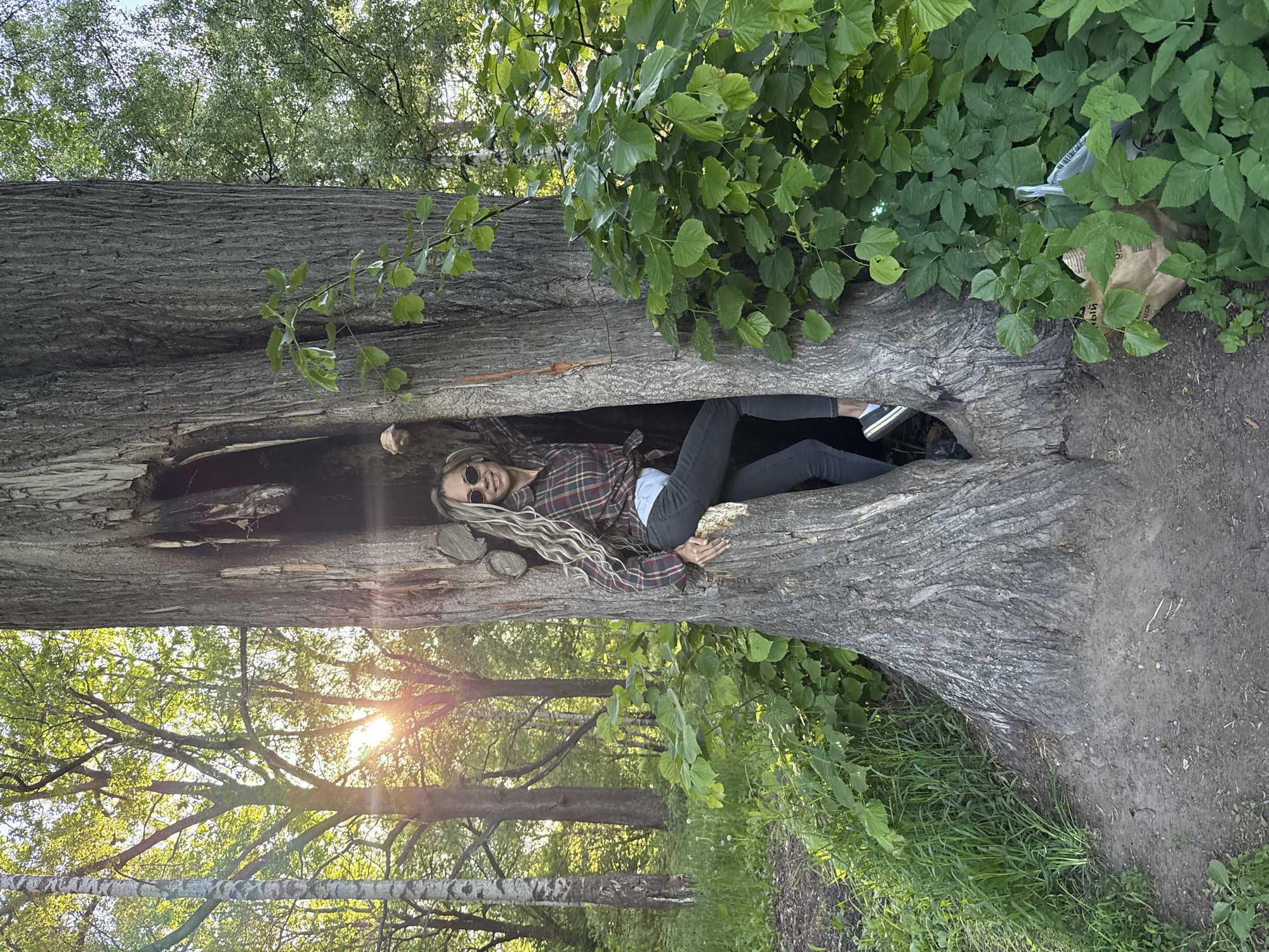 The image depicts a woman lying horizontally inside a large, hollowed-out tree trunk in an outdoor, natural setting. The woman, centered within the log, has long, wavy blonde hair and is wearing sunglasses, a red and black plaid shirt over a light top, and dark pants. She is smiling, looking upwards and towards the viewer.
The substantial tree trunk has rough, grey bark and appears to be lying on the ground. It is surrounded by vibrant green foliage, including leaves, bushes, and grass. In the upper right corner, partially obscured by the dense greenery, a brown paper bag with visible Cyrillic text ("ЫЙ") and a white plastic bag are present.
The background shows a wooded area or forest with numerous other trees. The time of day appears to be late afternoon or early evening, with the sun casting warm light and visible rays through the tree canopy. The ground is a mix of dirt and grass. The overall scene suggests a serene and natural environment, with the woman appearing relaxed and content.