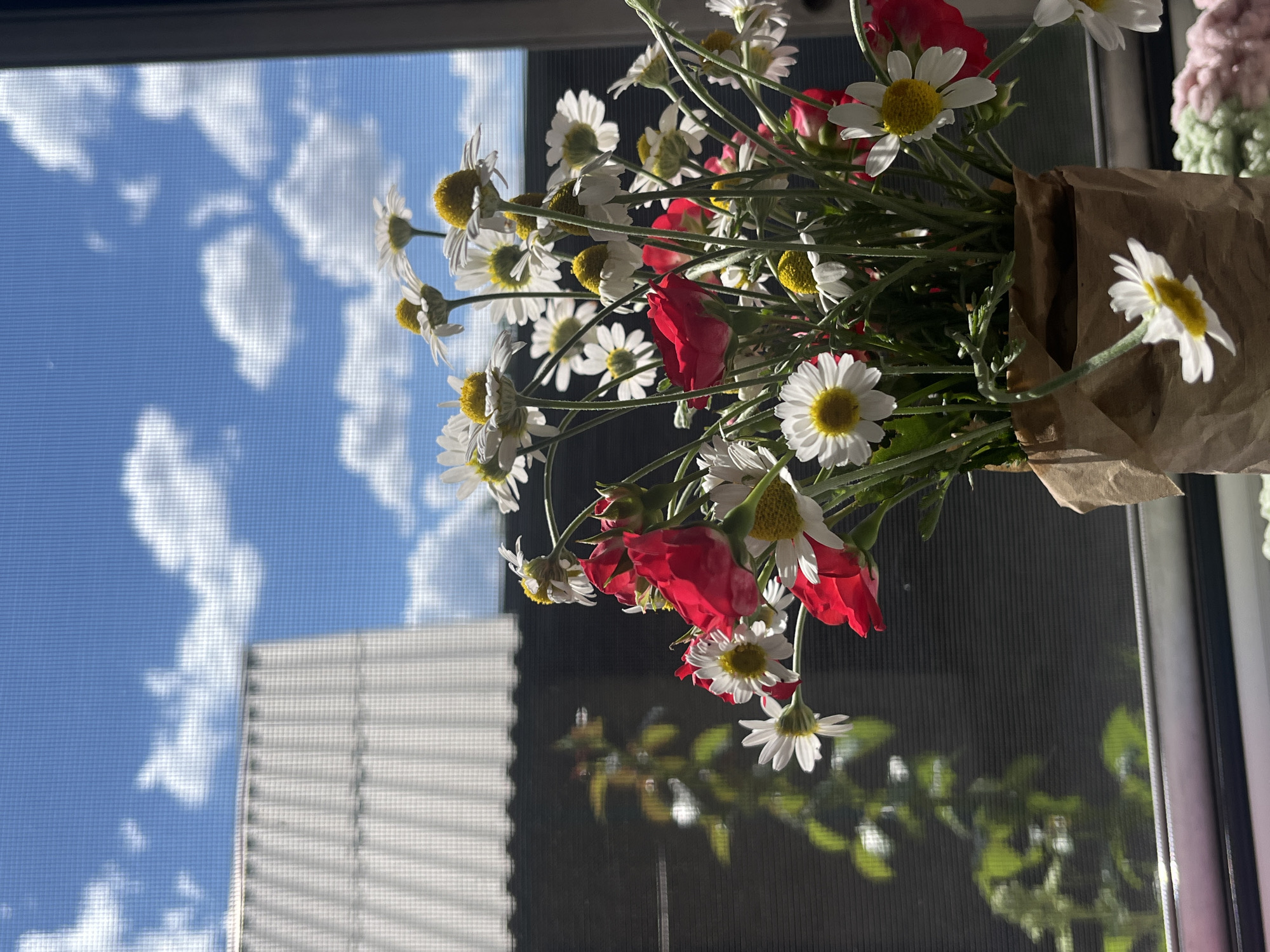 A bouquet of daisies and red roses wrapped in brown paper rests against a window screen. Outside, a bright blue sky is dotted with fluffy white clouds. The sunlight casts strong shadows of the flowers and the window screen onto a dark surface below, creating a dappled, reflective pattern. A section of a white building with horizontal lines is visible to the left, also silhouetted against the sky. The scene suggests a sunny day, possibly morning or afternoon, given the quality of light and the shadows. The overall mood is natural and serene. There is no visible text in the image.
