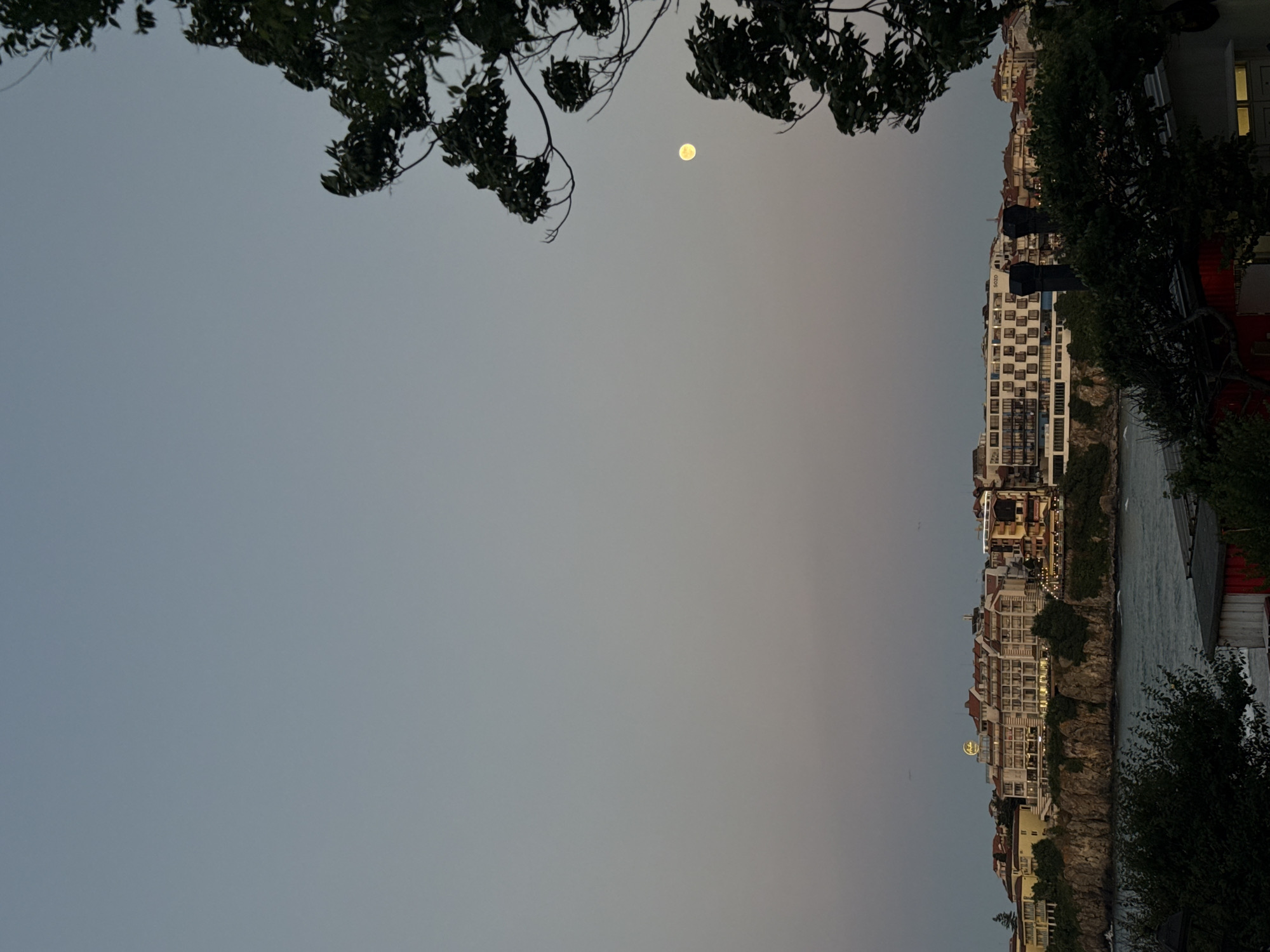 The image displays a picturesque coastal scene in Sozopol, Bulgaria, during what appears to be dusk or twilight. The sky is a soft, muted gray, with a visible moon as a bright, luminous disc. Silhouetted against the sky are the dark, leafy branches of trees, framing the top of the image.
To the right of the frame, a cliffside is densely populated with buildings. These structures are varied in color and architectural style, with many featuring terracotta tiled roofs and numerous windows, suggesting a residential or hotel area. Some buildings are brightly illuminated, hinting at interior lights. The cliff itself is rocky and irregular, with greenery interspersed among the buildings and rocks.
Below the buildings, the sea is visible, its surface rippled and reflecting the dim light. The overall impression is one of a tranquil evening in a European coastal town. There is no clear activity taking place, but the scene evokes a sense of calm and natural beauty. The time of day is indicated by the presence of the moon and the soft lighting conditions. The location is confirmed as Sozopol, Bulgaria. No specific text is legible in the image.