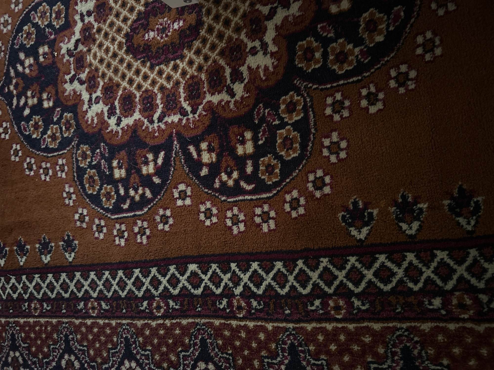 The image is a close-up, overhead view of a patterned carpet. The carpet features a dominant rust-orange background with intricate designs in dark blue, cream, burgundy, and black. On the left side of the image, a vertical border is visible with a repeating diamond pattern in cream and burgundy, bordered by a darker red and black pattern. The main field of the carpet displays floral motifs and abstract geometric shapes. The overall lighting is dim, casting shadows and obscuring some details. There are no people or discernible actions captured in the image. The specific location within the city of Калицино, Russia cannot be determined from the image alone.