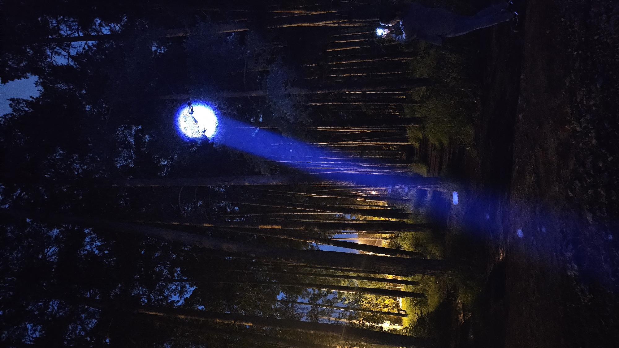 An outdoor nighttime scene in a forest. A bright blue light beam originates from an unseen source and points upwards through the trees, creating a spotlight effect on the forest canopy. The ground in the foreground and the path are dimly lit by this beam and other ambient light sources. In the mid-ground, a person is standing on the right side, holding a phone up as if taking a photograph. The forest consists of tall, dark tree trunks. In the background, to the left, there are faint yellow lights, suggesting proximity to an urban or populated area.
This scene is located in the Vecherny (Evening) Park in Yekaterinburg, Russia, a recreational area known for its walking paths and trees.