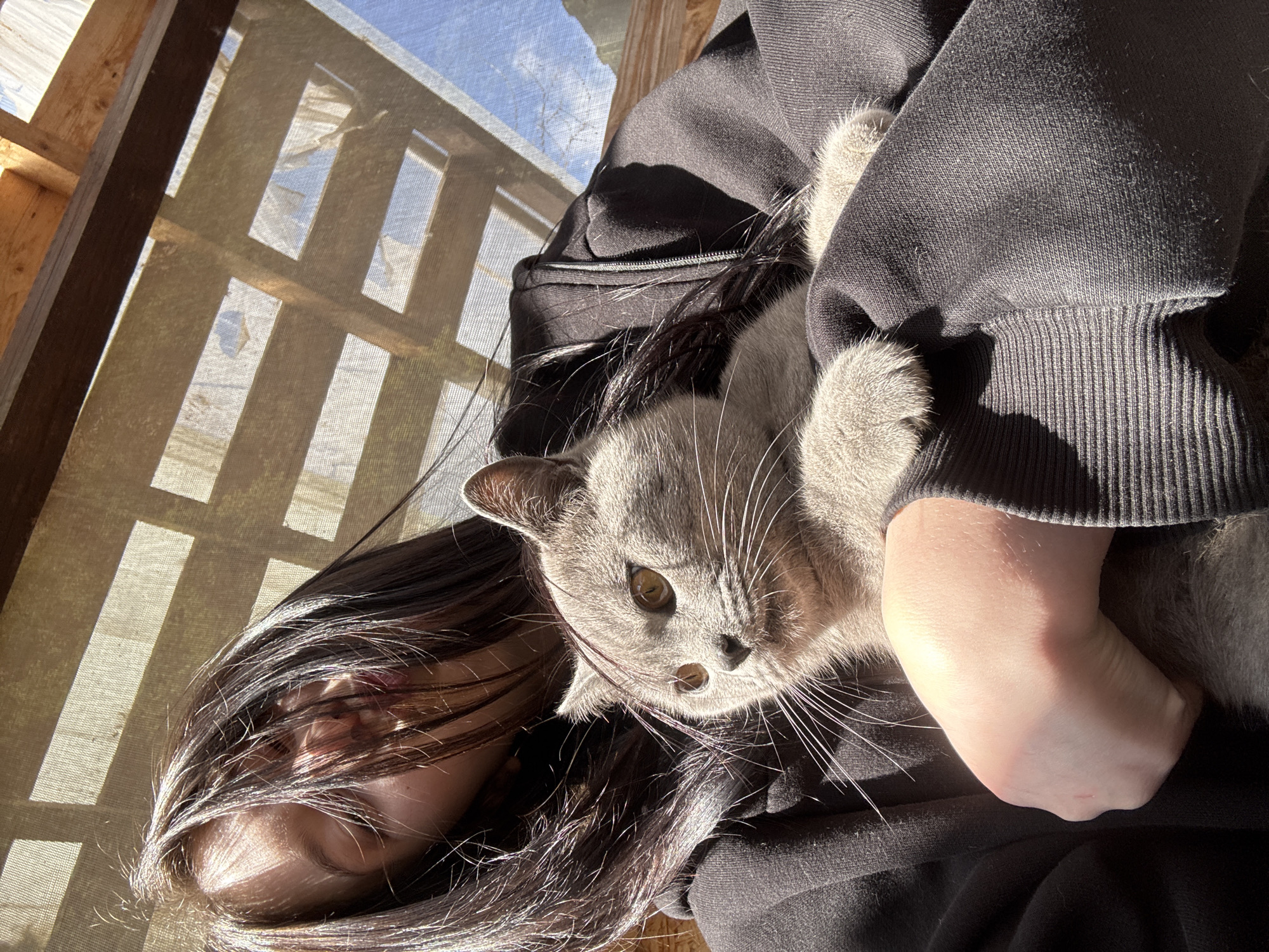 A woman with long, dark hair is holding a grey cat in her arms. She's wearing a black hooded sweatshirt. The cat is looking at the camera with yellow eyes. Sunlight is filtering through a wooden lattice structure behind them. The location in the city of Фоки, Russia, is not discernable from the image.