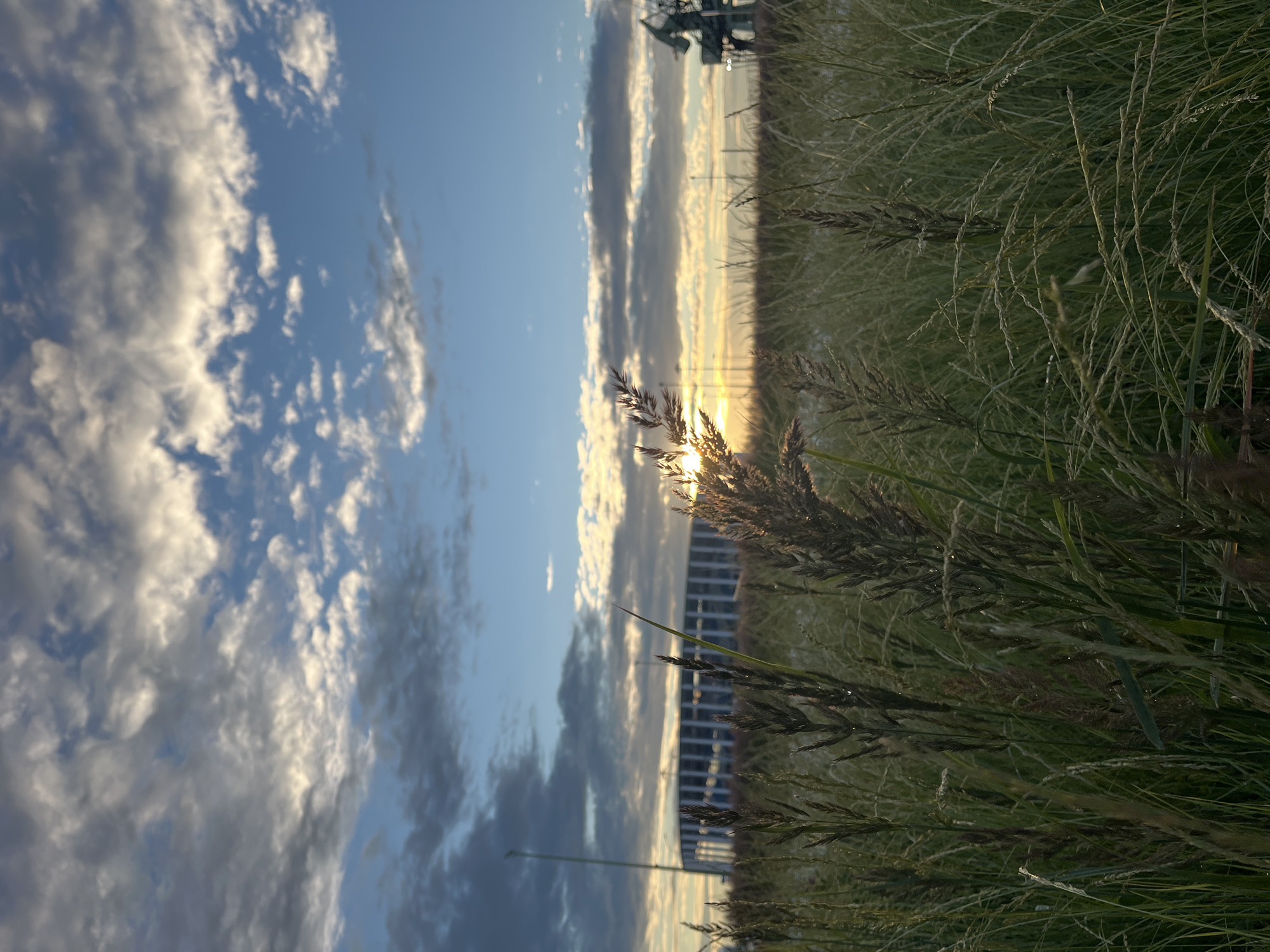 This image depicts a natural scene with a man-made element in the background. The foreground is dominated by tall, dry grasses and reeds, with some appearing to be in seed, catching the light. The grasses are a mix of green and brown hues, suggesting they are either drying out or have begun to mature.
In the background, there is a long, horizontal structure, possibly a building or a series of interconnected structures, characterized by a repetitive pattern of windows or panels. This structure is illuminated by a warm, golden light, indicating that it is either sunset or sunrise. The sky above is a vibrant blue, with scattered clouds that are brightly lit by the sun, creating a dramatic contrast.
The sun itself is partially obscured by the grass in the foreground, with its rays casting a warm glow over the scene. The overall impression is one of a tranquil, perhaps slightly wild, outdoor setting bathed in the soft light of the late or early day. There are no people visible in the image. The location context of Nizhny Novgorod, Russia, suggests this could be a natural area near the city.