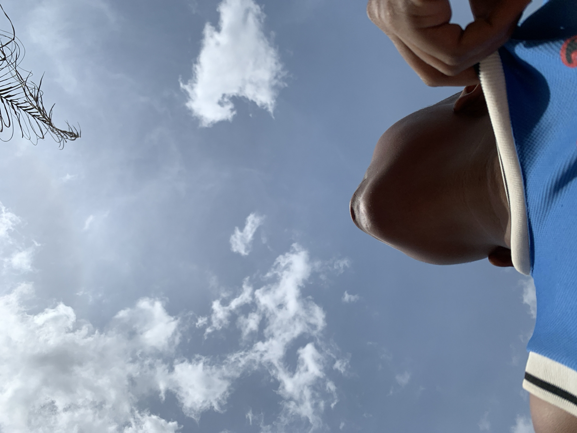 A low-angle shot captures a person viewed from below against a bright blue sky with scattered white cumulus clouds. The person, positioned in the lower right section of the frame, has a dark skin tone, with their chin, neck, and part of their shoulder and arm visible. They are wearing a blue polo shirt featuring a white collar trim and a white and black striped cuff on the sleeve. A hand is partially visible near the top of the person's head, possibly engaged in holding a device or adjusting clothing. In the upper left corner, several dry, curly palm fronds are silhouetted against the sky. The scene is illuminated by daylight, indicating sunny weather. The setting is Ikorodu, Nigeria. A small, indistinct red or orange emblem or text is subtly present on the blue shirt.
