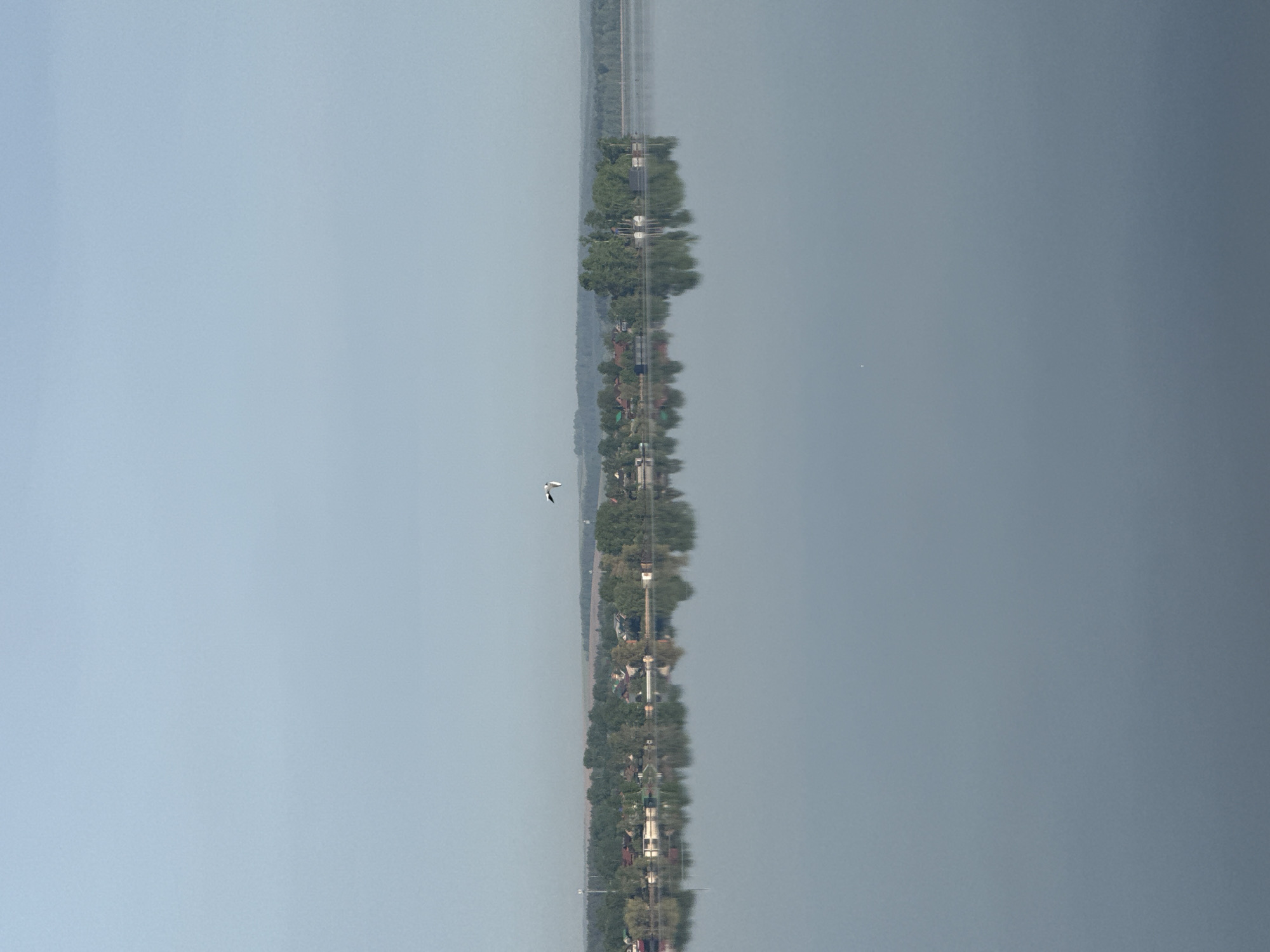 The image shows a view of the city of Votkinsk, Russia, reflected in the Votkinsk Reservoir. A line of trees and buildings is mirrored in the water. A single bird flies in the sky above the reservoir. The sky is pale blue, contrasting with the darker grey of the reservoir. A narrow strip of land or road is visible in the distance.