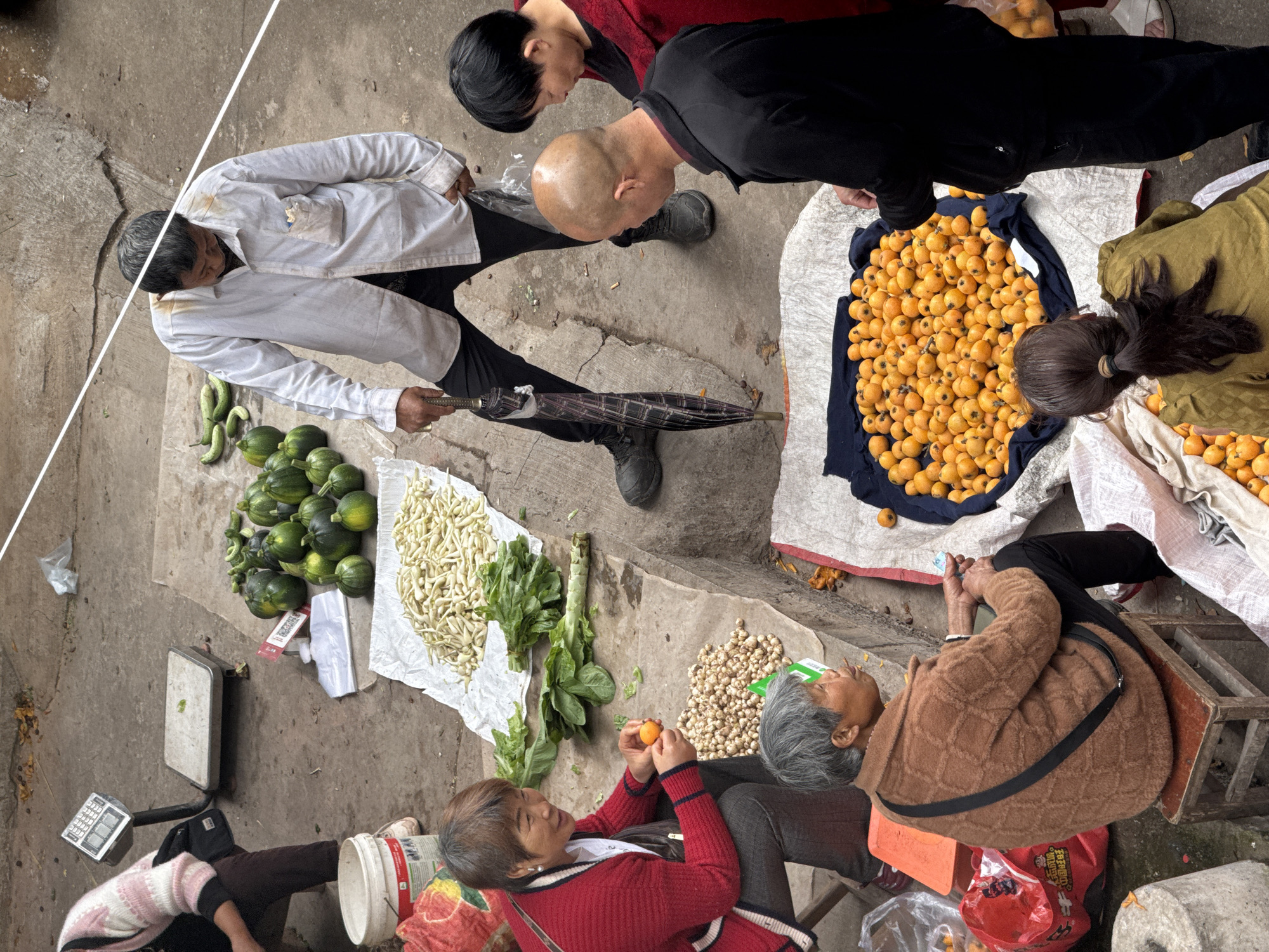 Captured from an overhead perspective, the scene depicts an outdoor market setting in Hechuan, China. The market surface consists of gray concrete with visible cracks.
Several people are present, including vendors and customers. A man in a white shirt and black pants is standing, holding an umbrella and engaging with a vendor on the ground. Another individual, bald and wearing a black shirt, looks down at a pile of small, orange fruits spread on a white cloth with a navy blue portion. A woman wearing a red sweater is sitting and holding one of the orange fruits.
Various items are laid out for sale, including green vegetables, possibly gourds, arranged near the standing man, and bunches of white sprouts or vegetables. Other merchandise includes small piles of what appear to be nuts, and scales used for weighing goods are also visible.
Several people are sitting on low stools, one in a brown sweater. This suggests the market is active, with interactions involving selling and buying goods.