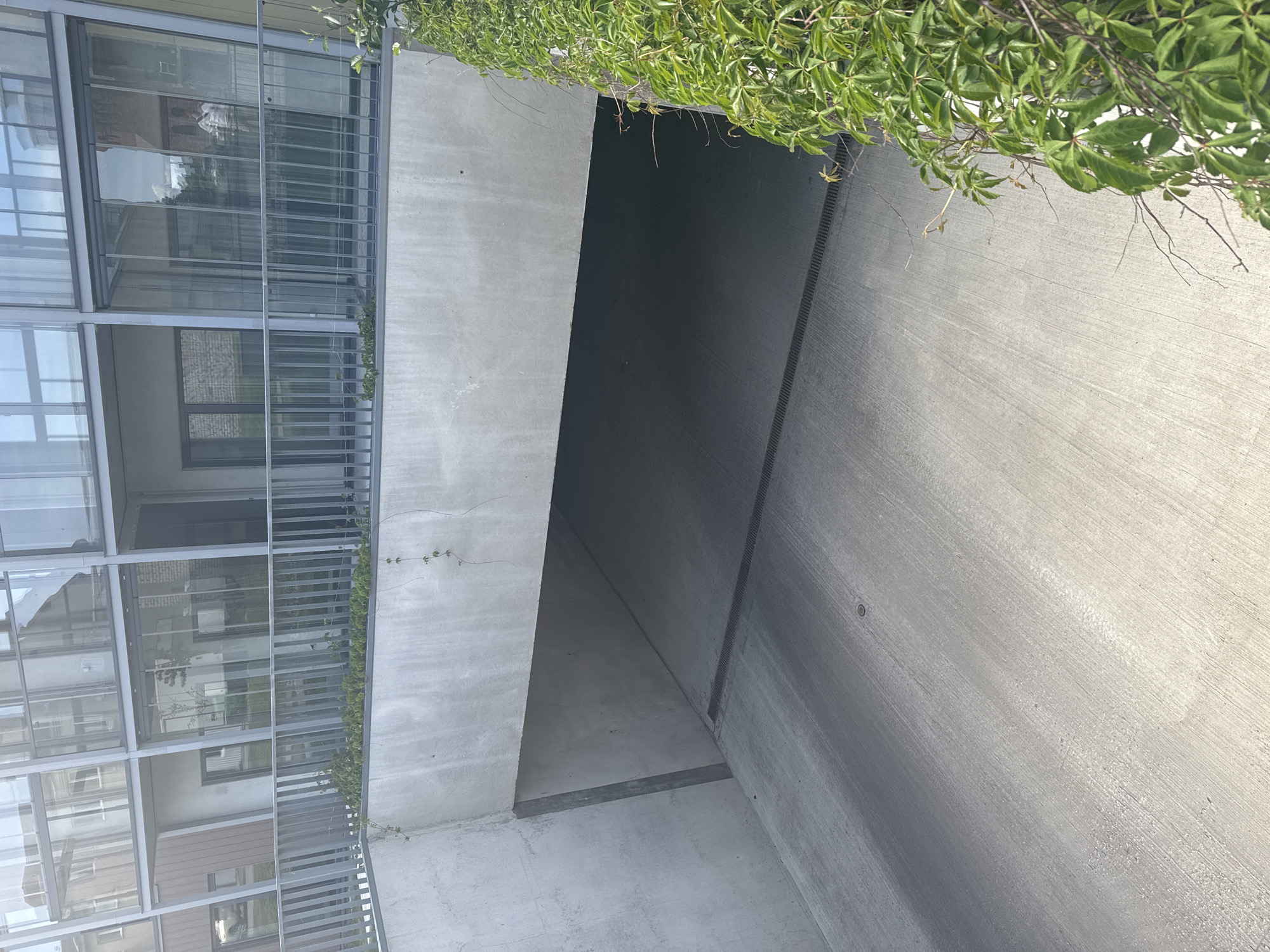 The image depicts the entrance to an underground parking garage or structure, likely in Tallinn, Estonia, given the architectural style. The entrance is a concrete ramp leading down into a dimly lit space. Above the entrance, a modern building with large glass windows and balconies is visible. A metal railing runs along the edge of the elevated area. Green vines are growing on the right side of the image, partially obscuring the concrete wall. The ground is concrete, with a visible drain or grate across the ramp. There are no people or vehicles visible in the image. The overall impression is one of urban infrastructure with natural elements encroaching.