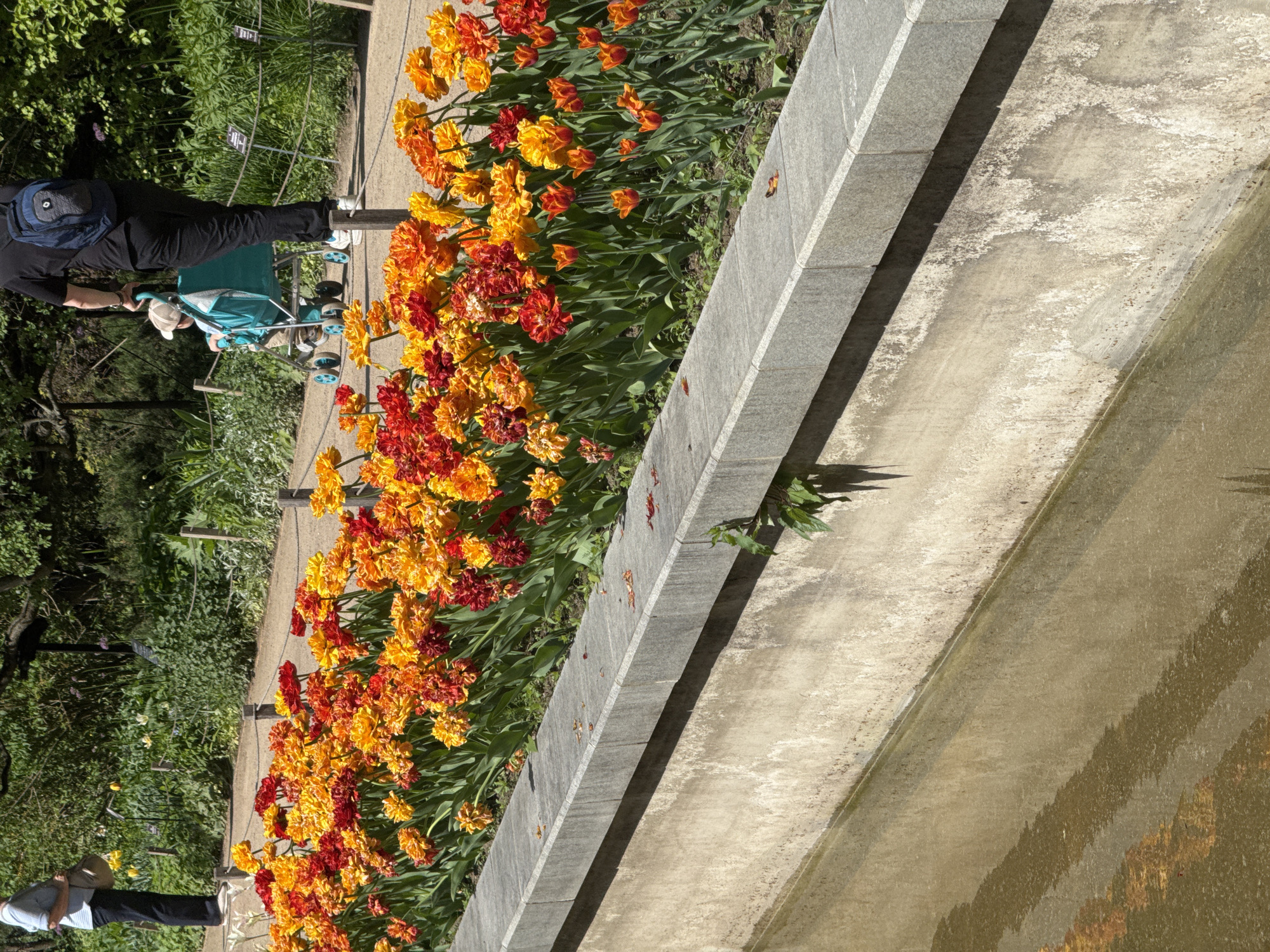 The image shows a flowerbed in Moscow, Russia. The flowerbed is filled with orange and red tulips. A gray stone border separates the flowerbed from a concrete canal. On the left side of the image, two people are walking near the flowerbed. One person is pushing a stroller. The background includes green trees and shrubs.
