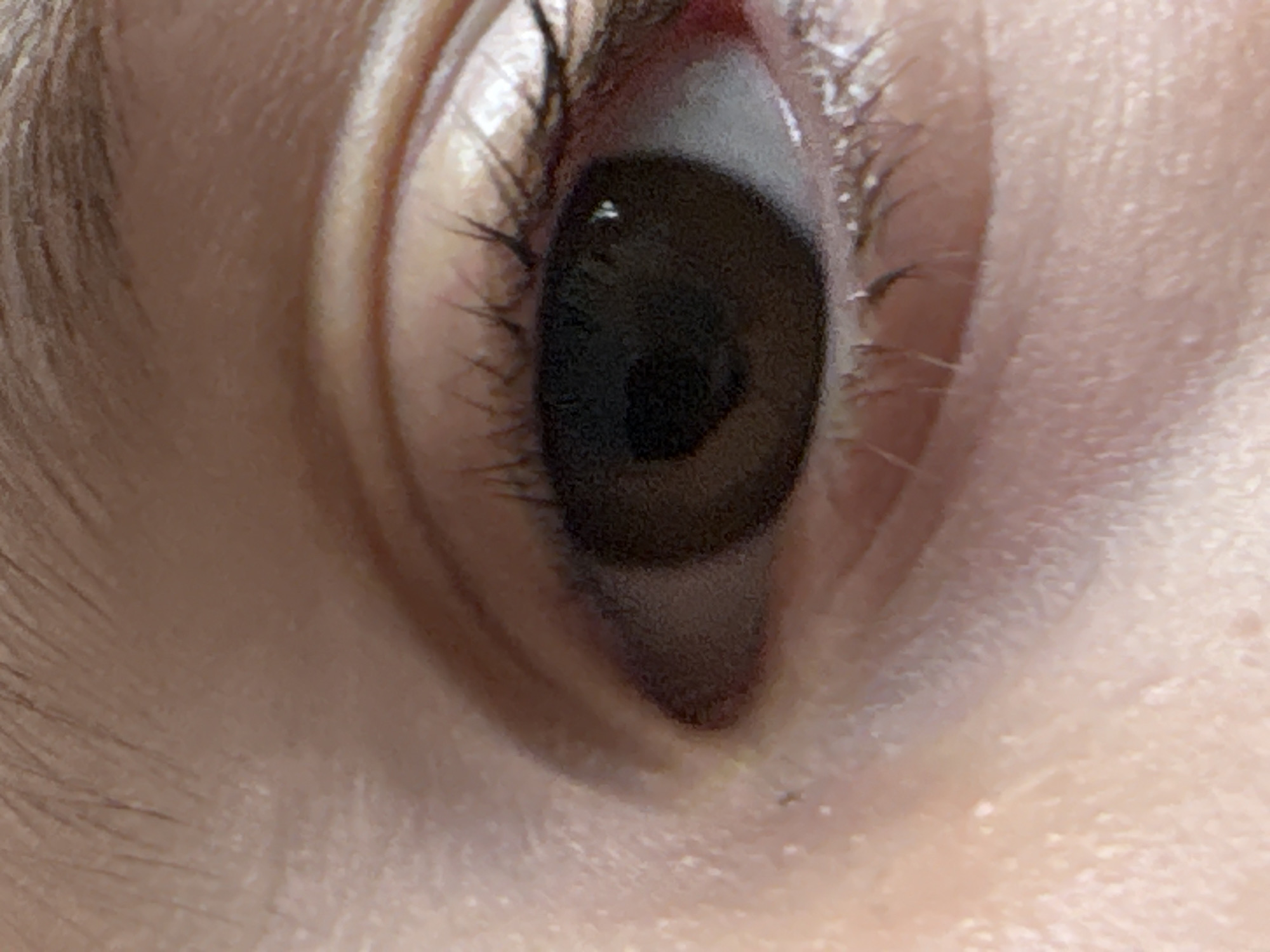 A close-up shot of a human eye, showing the iris, pupil, eyelashes, and surrounding skin. No context indicates a specific location like Damianitsa, Bulgaria.