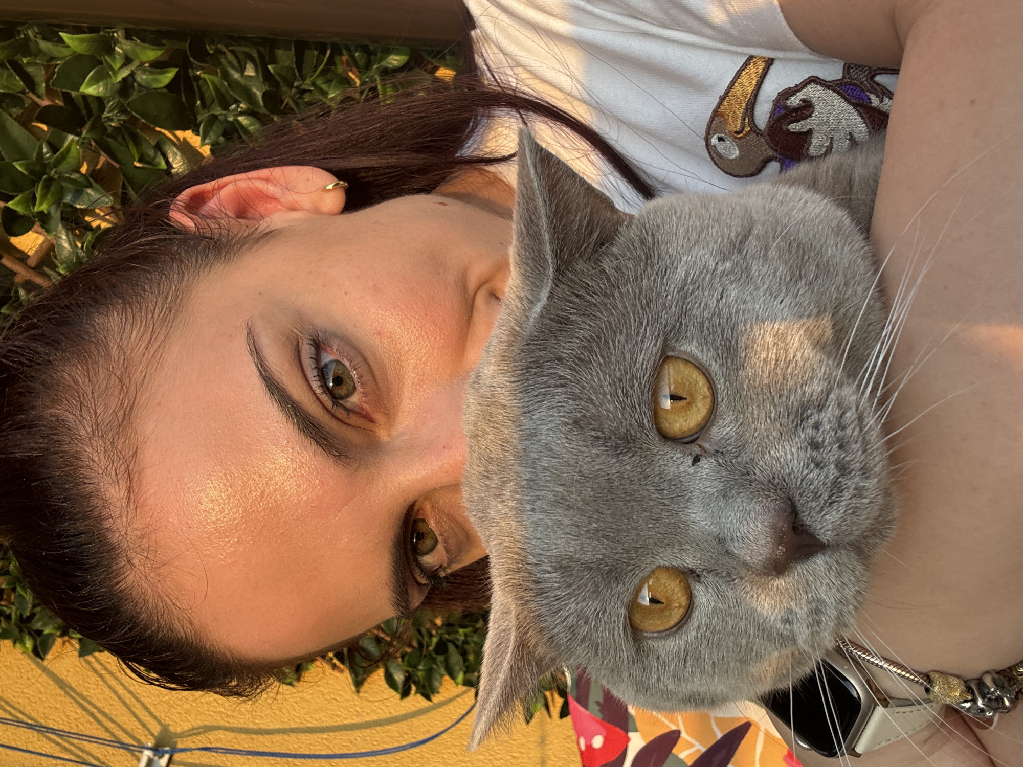 An outdoor, eye-level, close-up photograph depicts a woman holding a cat in what is identified as Varna, Bulgaria, bathed in warm, golden light. The woman, positioned behind the cat and looking directly forward, has dark brown hair pulled back, with visible fine hairs along her forehead. Her forehead and the upper part of her face, including her greenish-brown eyes and eyebrows, are visible. She wears a small, plain golden hoop earring in her visible right ear. Her skin shows a natural texture with highlights from the strong lighting, particularly on her forehead and cheeks. She wears a white t-shirt featuring an embroidered patch on the right side of her chest, depicting a brown bird with a long yellow beak holding a purple object. On her left wrist, a silver-toned watch with a light-colored band and a multi-charm bracelet are visible.
The cat, a grey-furred domestic shorthair, possibly a British Shorthair, occupies the central foreground, obscuring the woman's nose and mouth. Its head and upper body are visible, with prominent amber-colored eyes also looking directly forward, displaying reflections of the light source. Two small dark marks are present near the cat's left eye. The cat's dense fur is well-defined, and its ears are slightly flattened against its head.
The background consists of a textured yellow wall with thin, vertical blue lines on the left side, and dense green foliage on the right side, suggesting a vibrant, possibly sunlit outdoor setting. The overall lighting indicates either sunrise or sunset, creating a warm ambiance. The woman's arms are around the cat, indicating she is holding it closely.