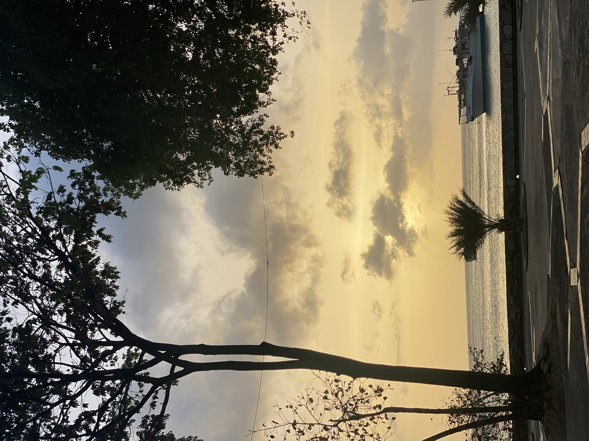 The image captures a view in Juan Griego, Venezuela. It appears to be dusk or dawn, with a yellowish sky featuring scattered clouds. A body of water, presumably the sea, reflects the light. Several boats can be seen in the distance. The frame is partially obscured by trees in silhouette. A paved walkway runs along the right side of the image, marked by a low wall.