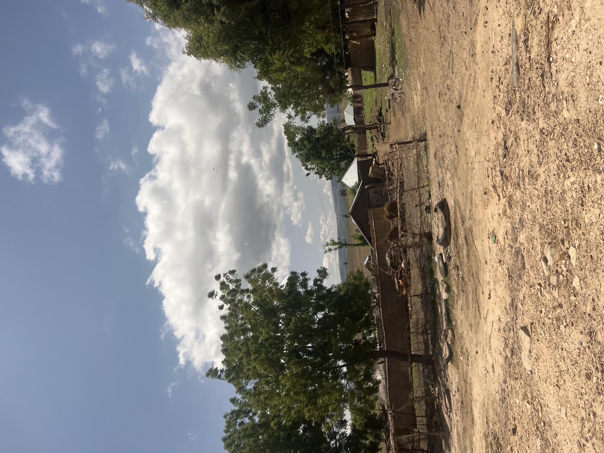 The image captures a rural village scene in Chum, Nigeria, under a bright blue sky with scattered white stratocumulus clouds. The foreground consists of dry, reddish-brown earth mixed with small rocks and sparse debris, including plastic bottle caps and green refuse. In the mid-ground, several deciduous trees with green foliage are present, one large tree dominating the left frame. Beyond the trees, a cluster of modest dwellings is visible, featuring structures with both corrugated metal roofs and walls made of natural materials such as woven reeds or thatch. Primitive fences constructed from branches and woven materials delineate areas around the structures. Piles of dried wood or brush are stacked near some buildings. The background reveals open, undulating terrain under a more overcast sky, with faint suggestions of distant hills. No human figures or animals are discernable within the frame.
