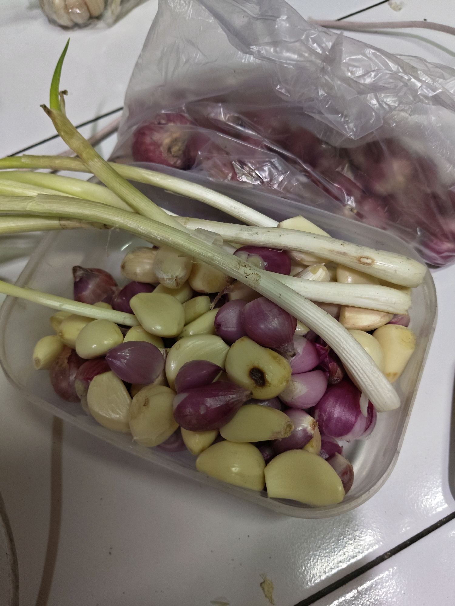 The image displays a close-up, overhead view of a transparent plastic container filled with peeled garlic cloves and small red onions. Several green stalks of what appear to be spring onions or leeks are placed across the top of the container's contents. In the background, to the right, a clear plastic bag holds more red onions, some of which are partially visible. To the upper left, out of focus, a head of garlic or a similar bulbous vegetable is present. The scene is set on a white tiled surface, possibly a kitchen counter. No people are visible in the image. The lighting suggests an indoor setting. The overall impression is one of ingredients prepared for cooking. The location specified, Sumberwono, Indonesia, is a district in the province of East Java.