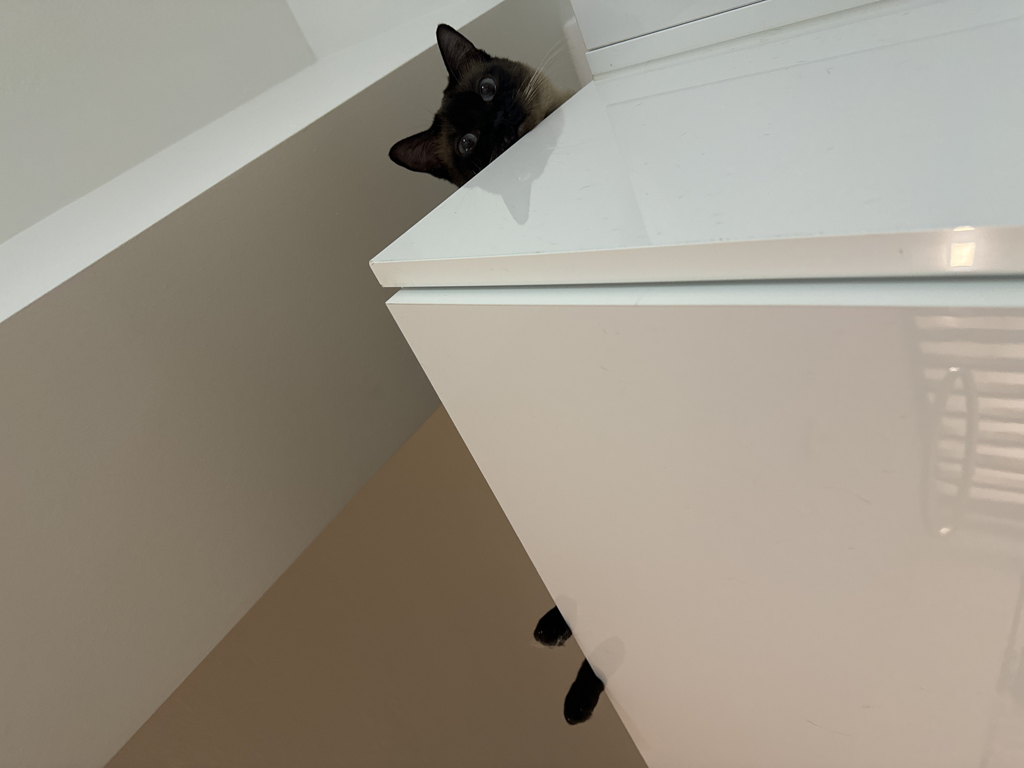 A Siamese cat peeks over the edge of a white cabinet in an indoor setting, possibly a kitchen or living room. Its dark fur contrasts with its lighter face and blue eyes. Two of its black paws are visible on the left side of the cabinet, suggesting it is perched on top. The background consists of neutral-colored walls and what appears to be a ceiling with a diagonal architectural feature. There are no people visible in the image. The scene is well-lit, likely by indoor lighting. The image does not provide information about its location in Agios Dimitrios, Greece.