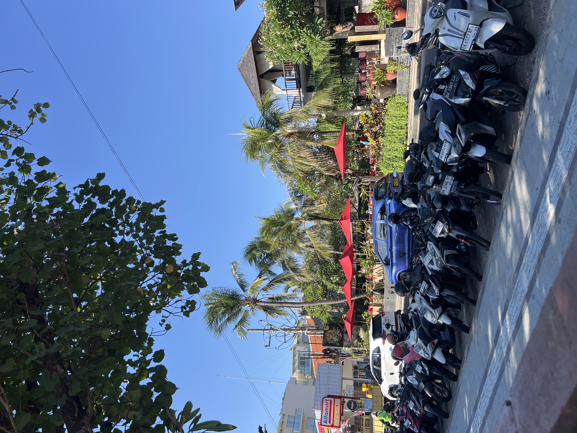 The image depicts a street scene in Kuta, Indonesia, on a bright, sunny day. The foreground is dominated by a row of parked motorcycles, mostly scooters, in various colors including black, white, and pink. Many of them have helmets placed on the handlebars. Beyond the motorcycles, a light-colored SUV and a blue car are parked on the street.
Further back, a row of red umbrellas shades outdoor seating areas for a restaurant or cafe. Palm trees and other lush green foliage are visible, interspersed with buildings. One building has a distinctive multi-story structure with an open-air upper level featuring curtains and a thatched roof. A sign for "Alfamart" is clearly visible on another building, indicating a convenience store.
The sky is clear and blue, suggesting good weather. Electrical wires and poles are also present, typical of an urban environment. A few individuals are faintly visible in the background, appearing to be patrons or staff of the establishment with the red umbrellas. The overall impression is a bustling, tropical street scene, characteristic of a popular tourist area.