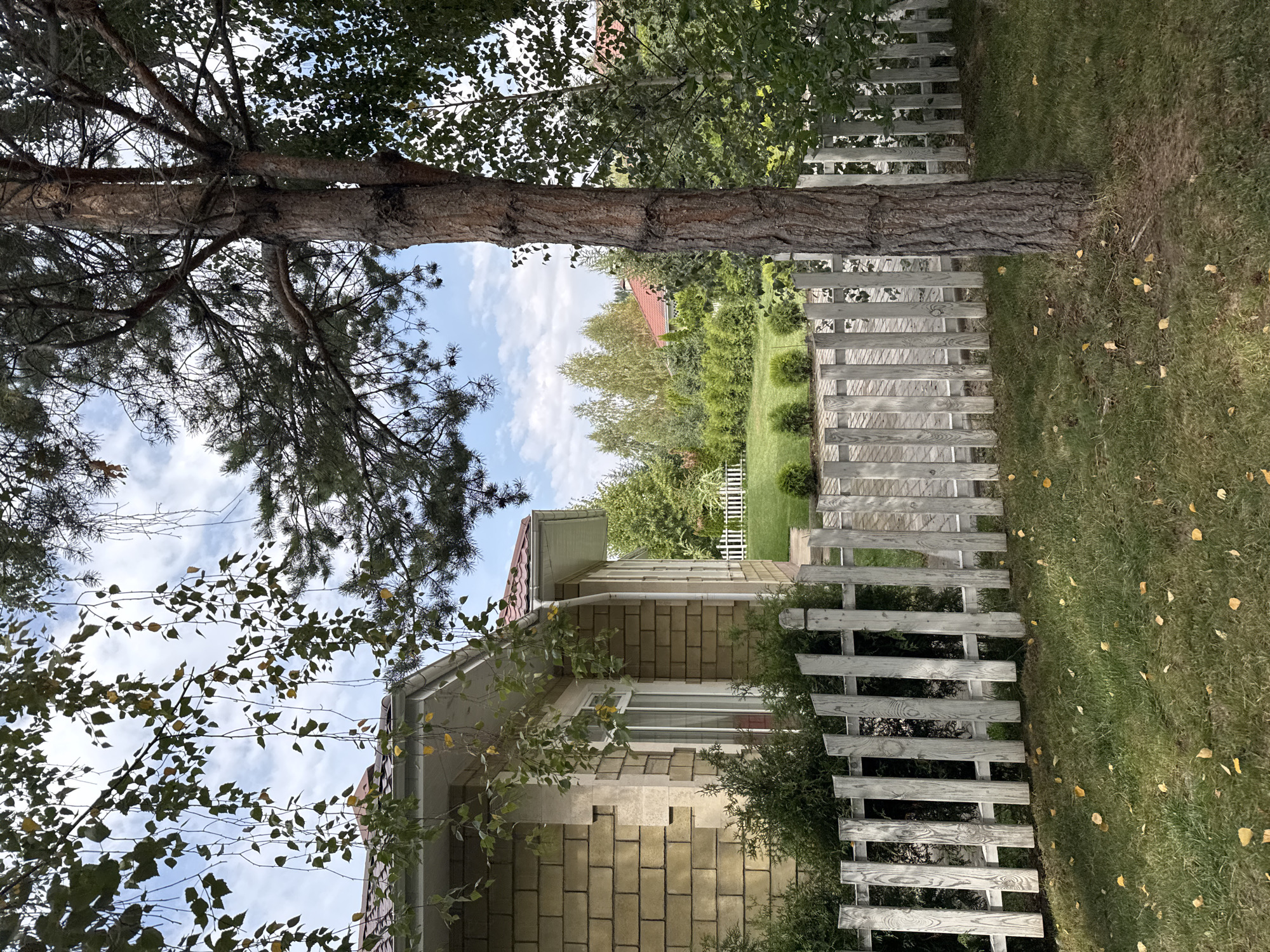 In the city of Sary-Oy, Kyrgyzstan, a scene unfolds of a suburban yard featuring a modern home and lush greenery. The house, constructed with light yellow brick and accented with stone, has a dark red tiled roof. A low, white picket fence runs across the foreground, separating the mowed lawn from a paved walkway and the rest of the yard. A large pine tree stands prominently to the right, its rough bark and branches reaching towards the sky. Beyond the fence, a well-maintained lawn is dotted with small, manicured bushes, and further back, a line of evergreen trees and a white picket fence form a boundary. In the distance, residential rooftops with red tiles are visible amidst a backdrop of more trees and a partly cloudy blue sky. The ground is covered in green grass, with scattered yellow leaves indicating the possibility of autumn. There are no people or animals visible in the image.