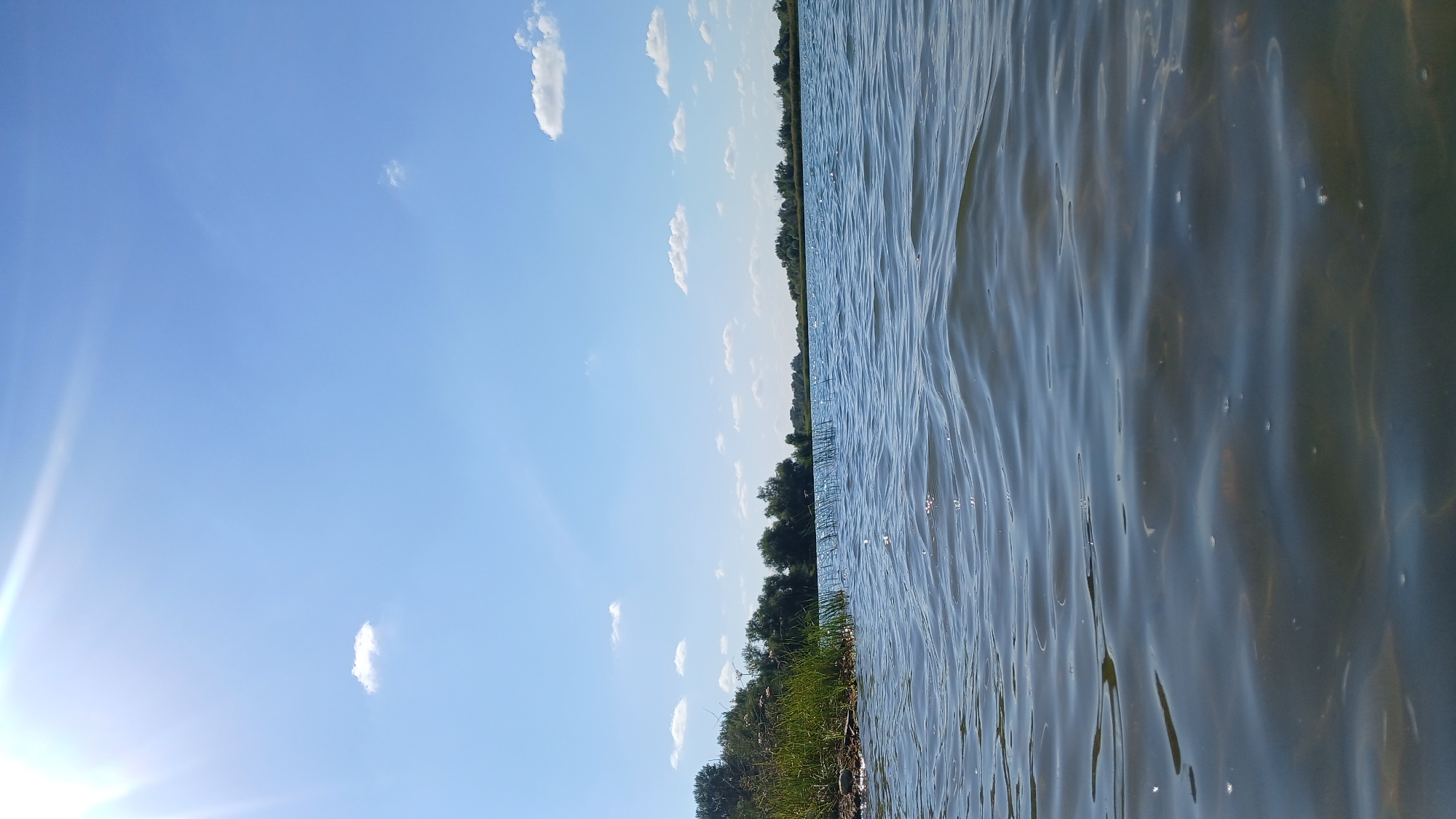 This is a ground-level, wide-angle photograph of a body of water, likely a lake or river, under a clear blue sky with scattered white clouds. The sun is visible in the upper left corner, casting a bright glare. The foreground is dominated by the rippling surface of the water, which appears somewhat dark and transparent, with visible reflections. The middle ground shows the shoreline with dense green vegetation and trees. The background consists of more trees and a distant, hazy horizon. There are no people or animals visible in the scene. The image is a natural landscape scene, captured on a sunny day. The location is identified as Jelaevo, Kazakhstan.