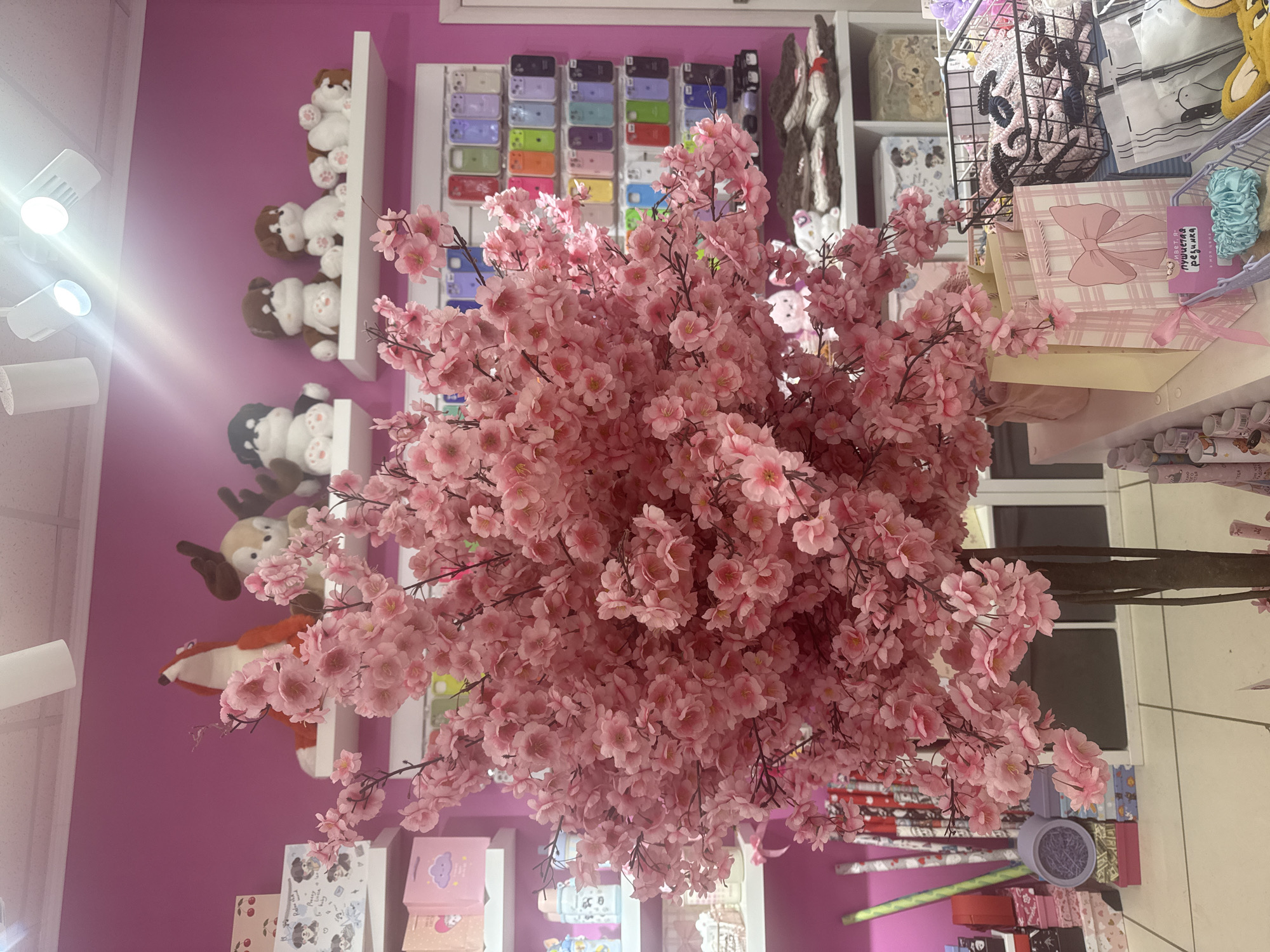 The image captures an interior scene, likely within a retail store or shop in Votkinsk, Russia, suggested by the Cyrillic inscription on a product tag. Dominating the view is a large faux cherry blossom tree, its branches laden with pink blossoms that fill the frame. The tree is centrally positioned, drawing focus and obscuring some of the background details.
Behind the tree, shelving units are visible against a pink wall. These shelves display various merchandise: stuffed animals, a variety of colorful phone cases, and what appears to be hair accessories.
To the right of the tree, further shelves display gift bags and wrapped rolls of materials. The floor, visible at the bottom of the frame, shows an assortment of merchandise and packaging materials.
The lighting appears to be a mix of natural and artificial, with spotlights present near the upper-left corner of the image. The overall impression is a vibrant, cluttered, yet visually appealing retail setting.